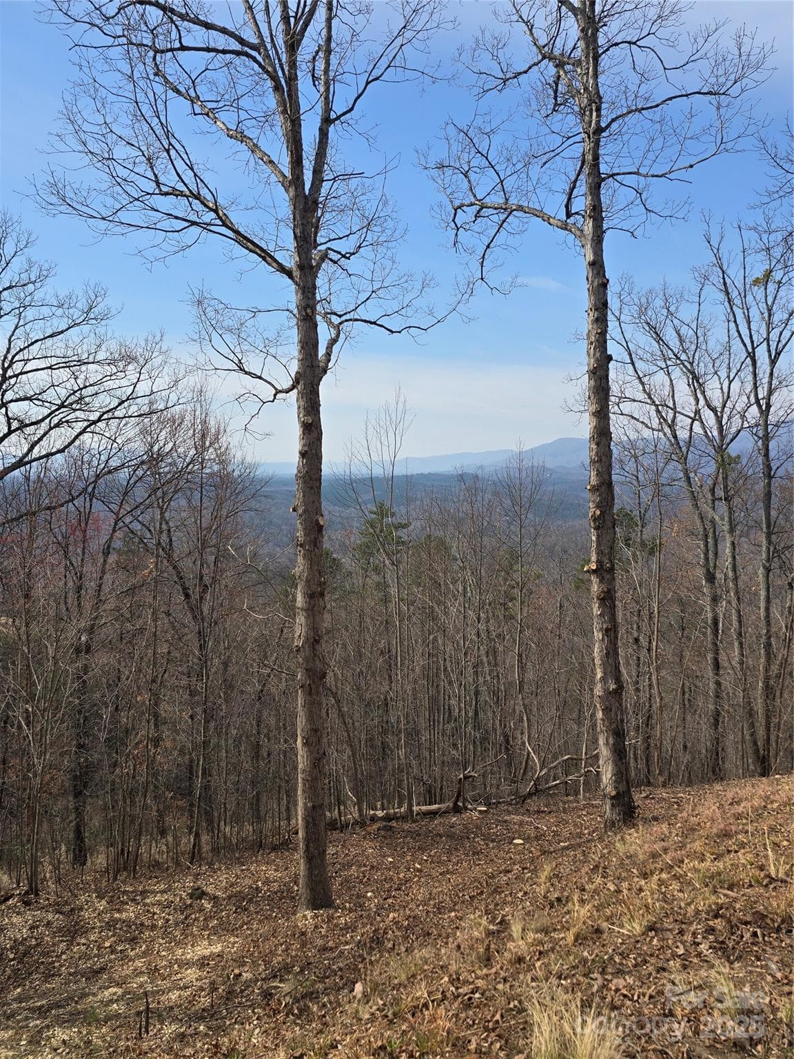 Acreage at 00 Golden Ridge Drive, Lake Lure, photo 9 of 26