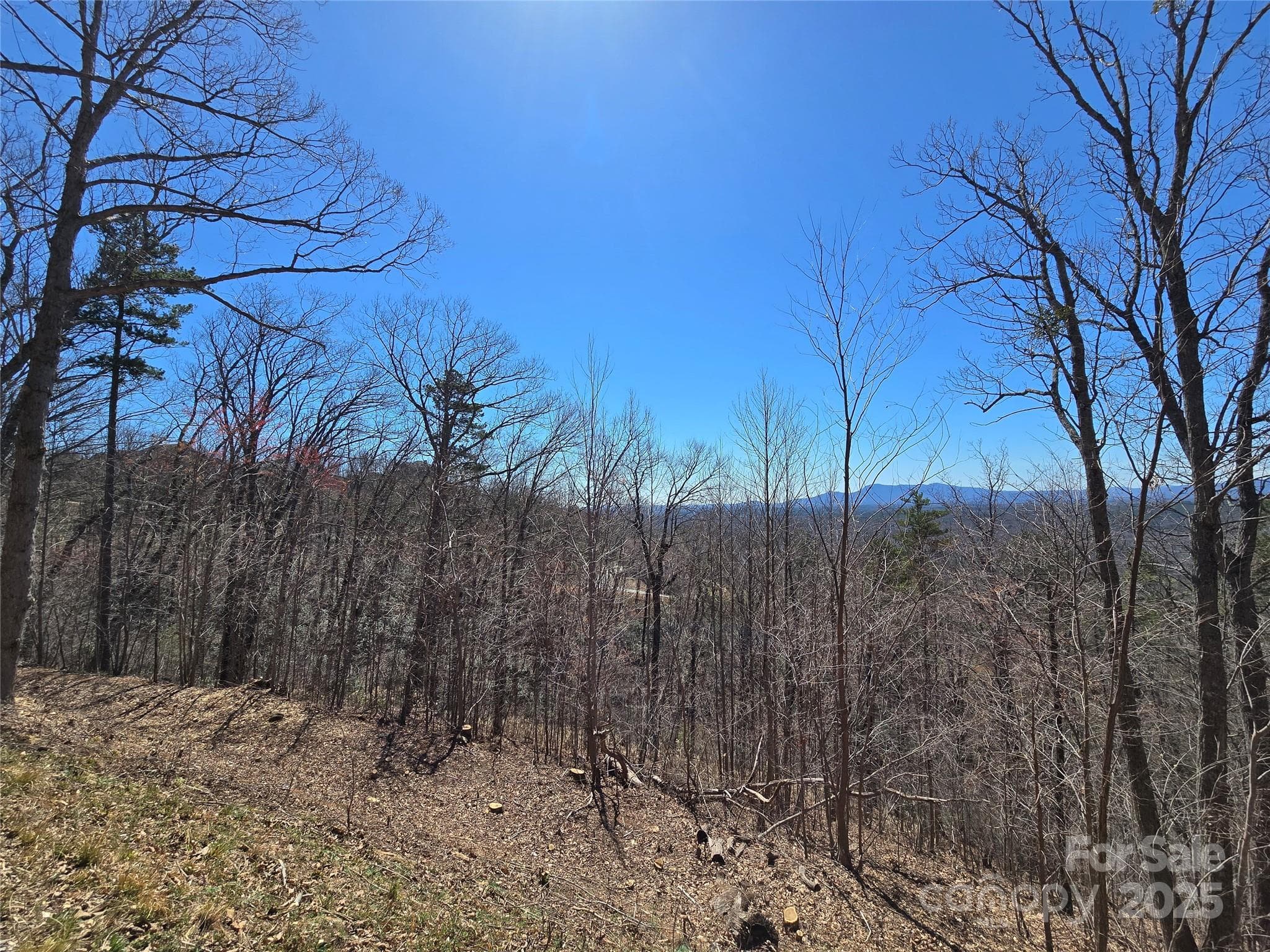 Acreage at 00 Golden Ridge Drive, Lake Lure, photo 10 of 26