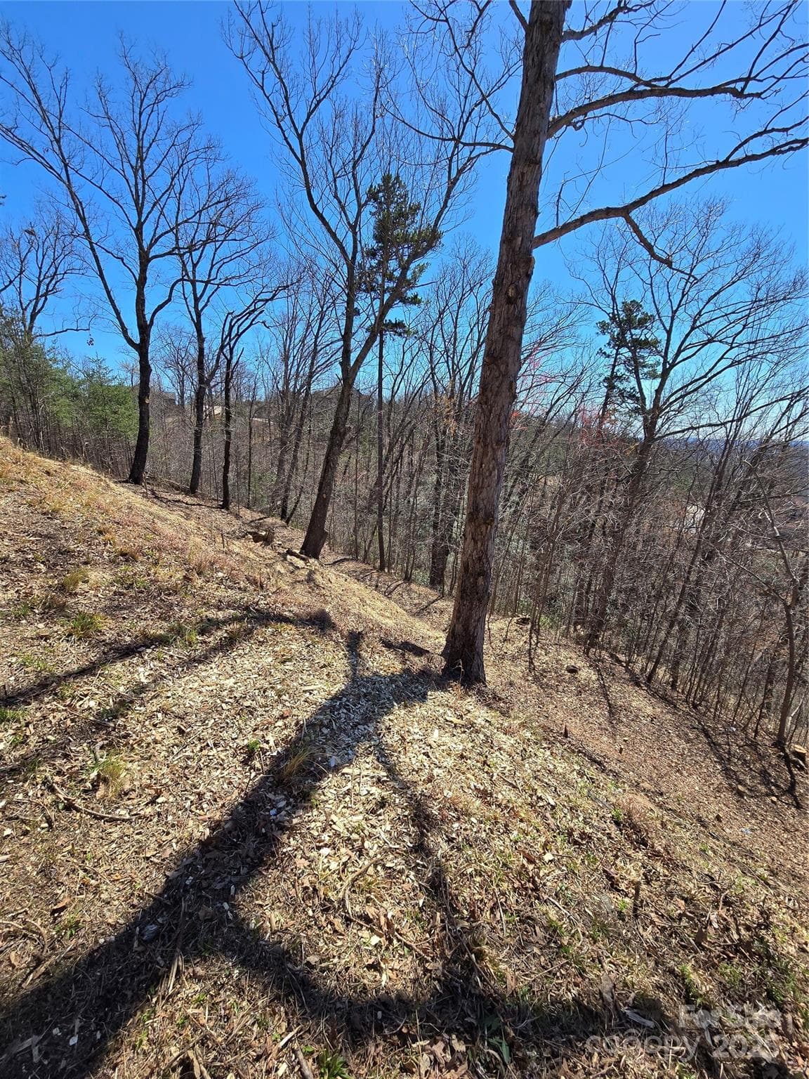 Acreage at 00 Golden Ridge Drive, Lake Lure, photo 11 of 26