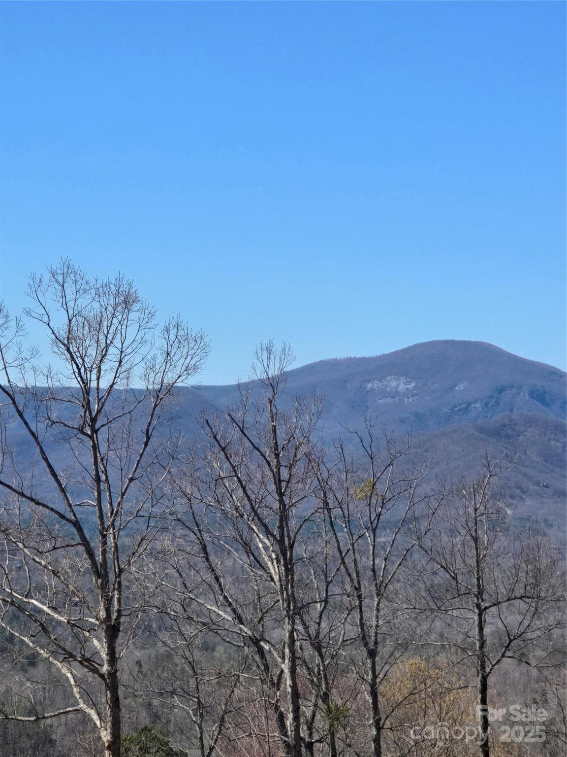 Acreage at 00 Golden Ridge Drive, Lake Lure, photo 12 of 26