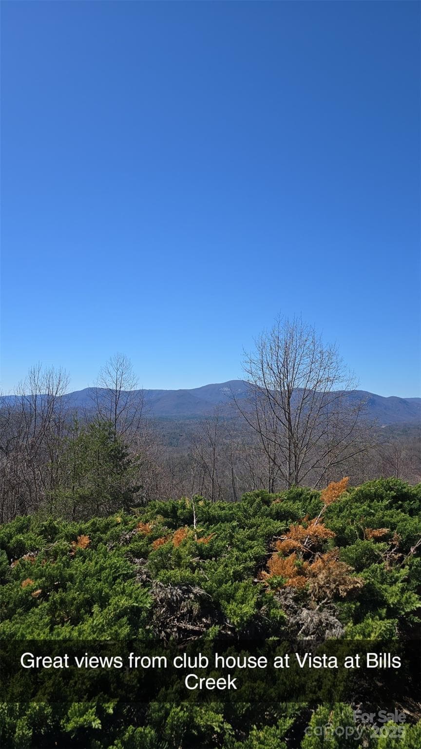 Acreage at 00 Golden Ridge Drive, Lake Lure, photo 19 of 26
