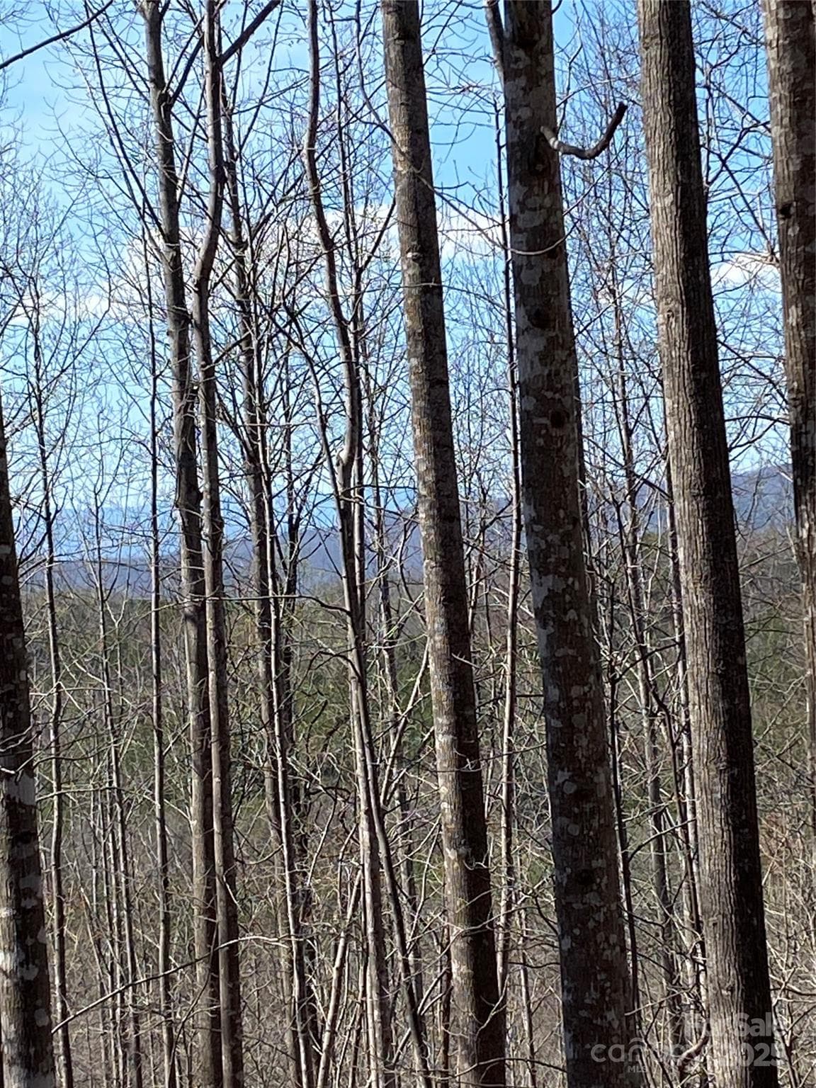 Lot at Nebo, photo 5 of 20