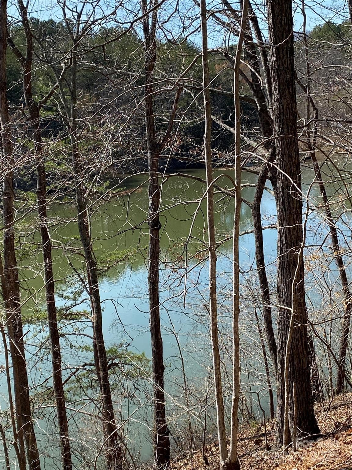 Lot at Nebo, photo 7 of 20