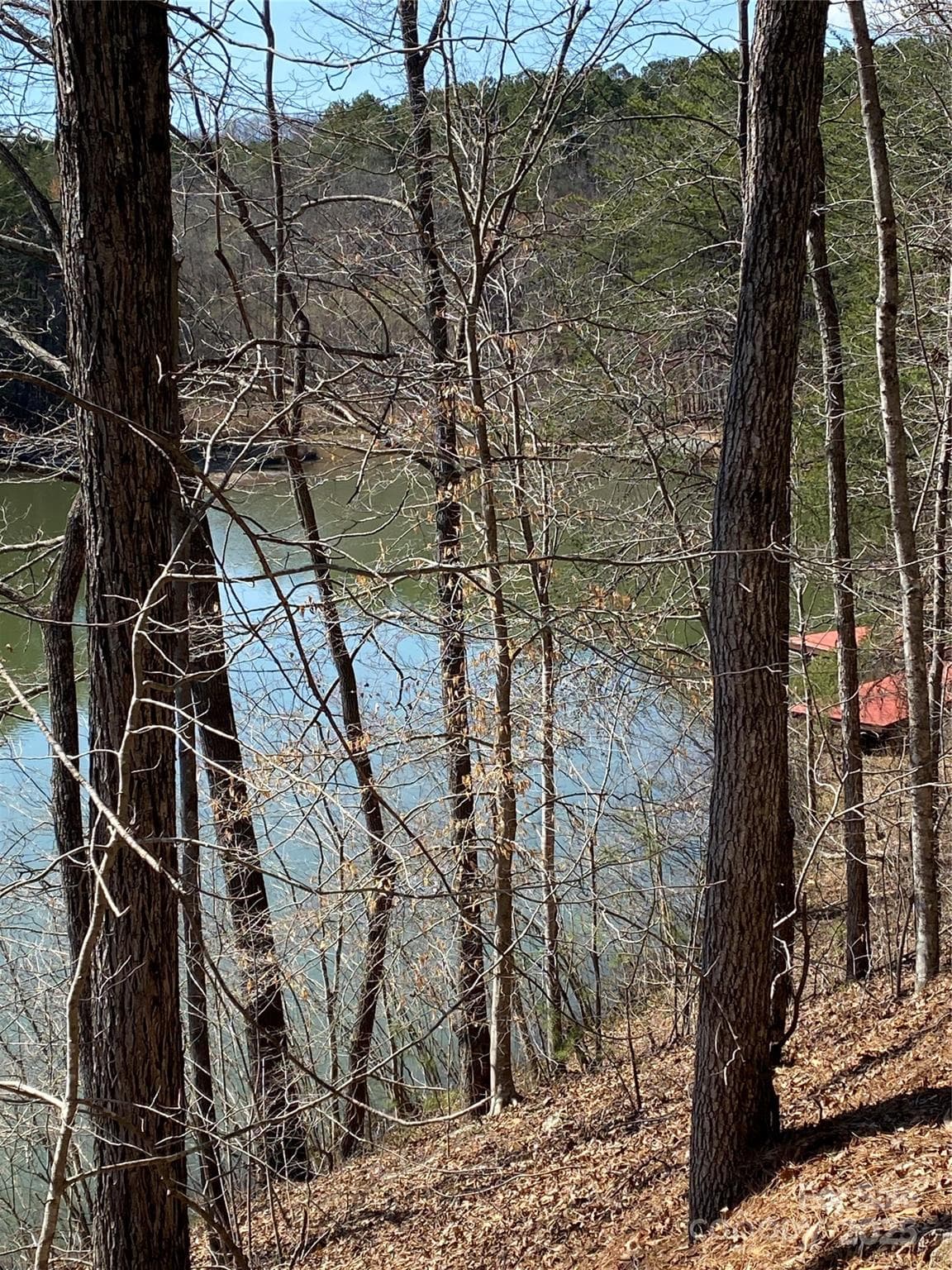 Lot at Nebo, photo 8 of 20