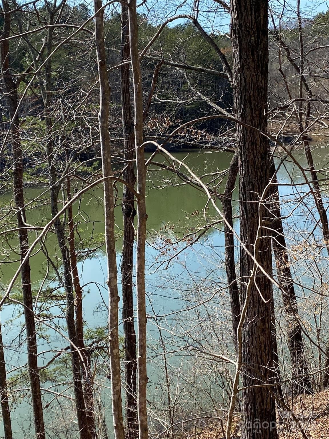 Lot at Nebo, photo 9 of 20