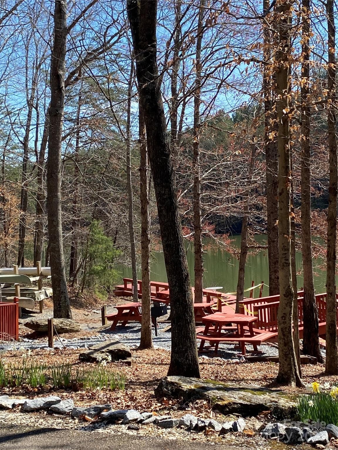 Lot at Nebo, photo 11 of 20