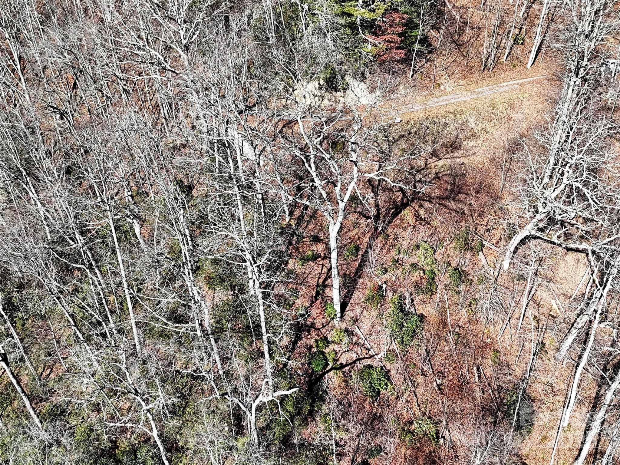 Lot at Clyde, photo 6 of 16