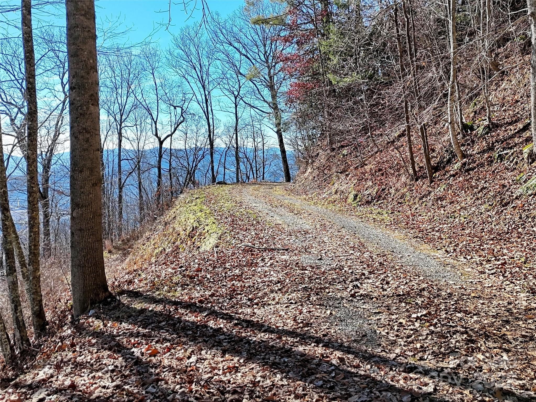 Lot at Clyde, photo 7 of 16