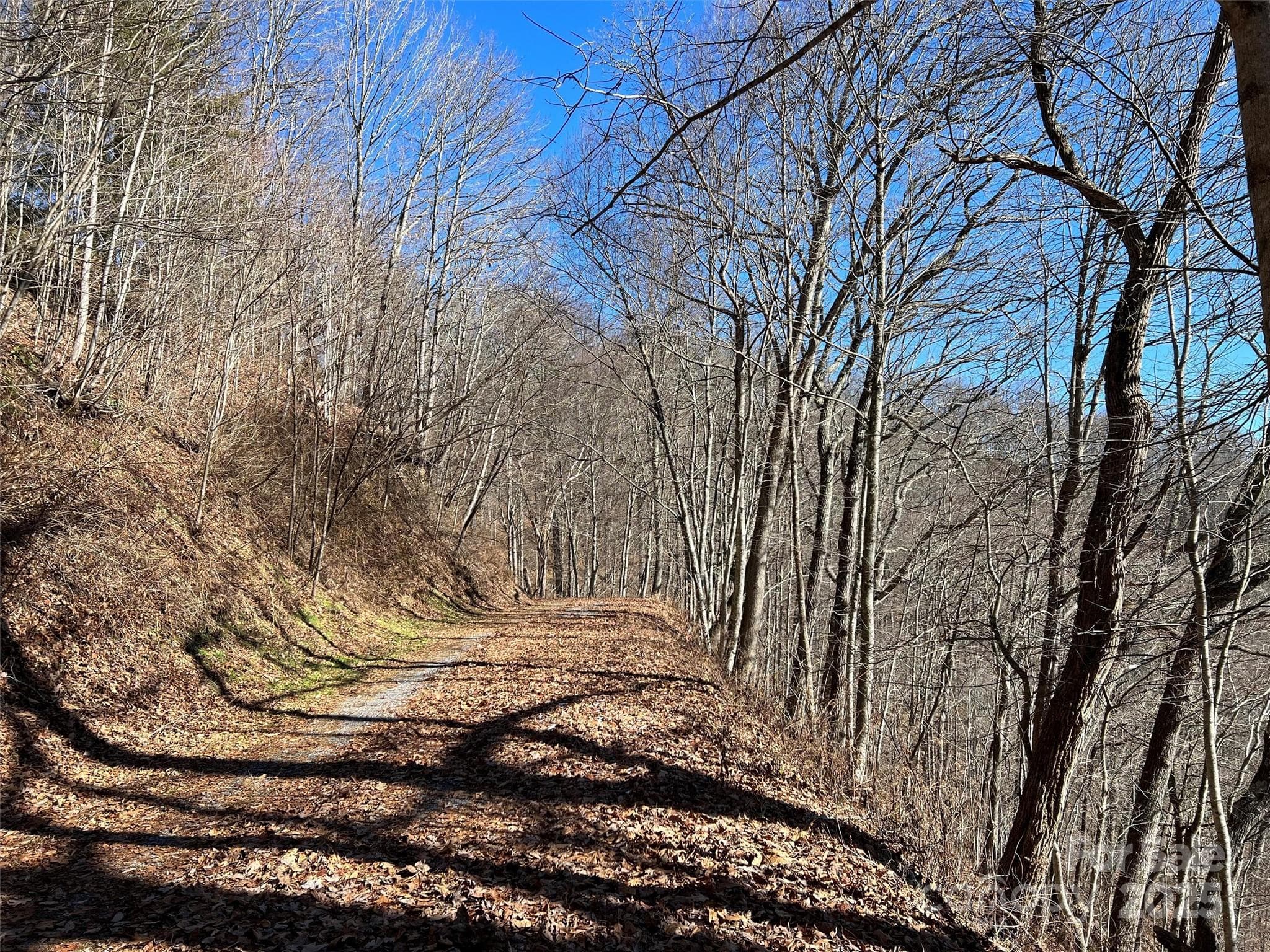 Lot at Clyde, photo 8 of 16