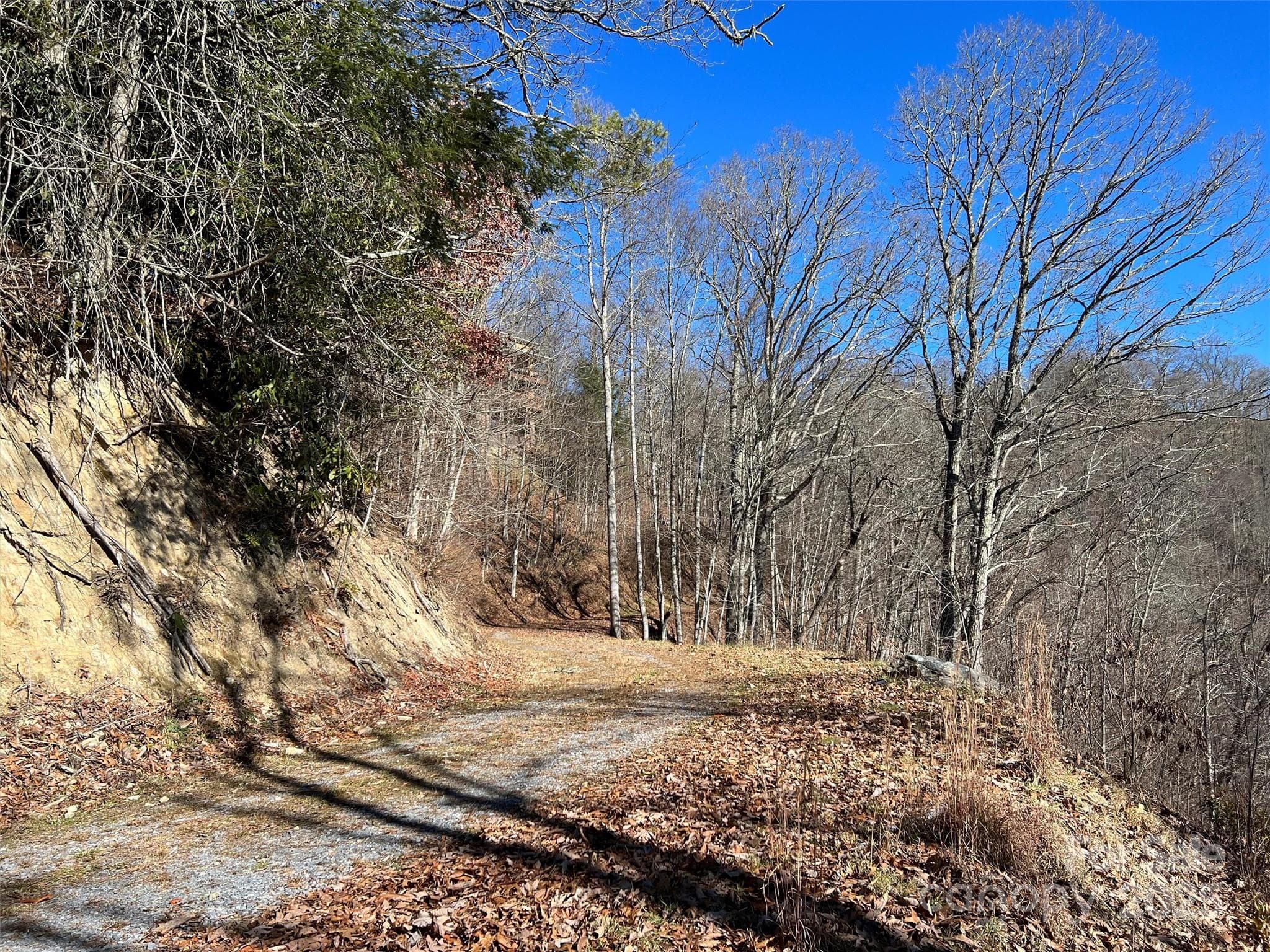 Lot at Clyde, photo 12 of 16