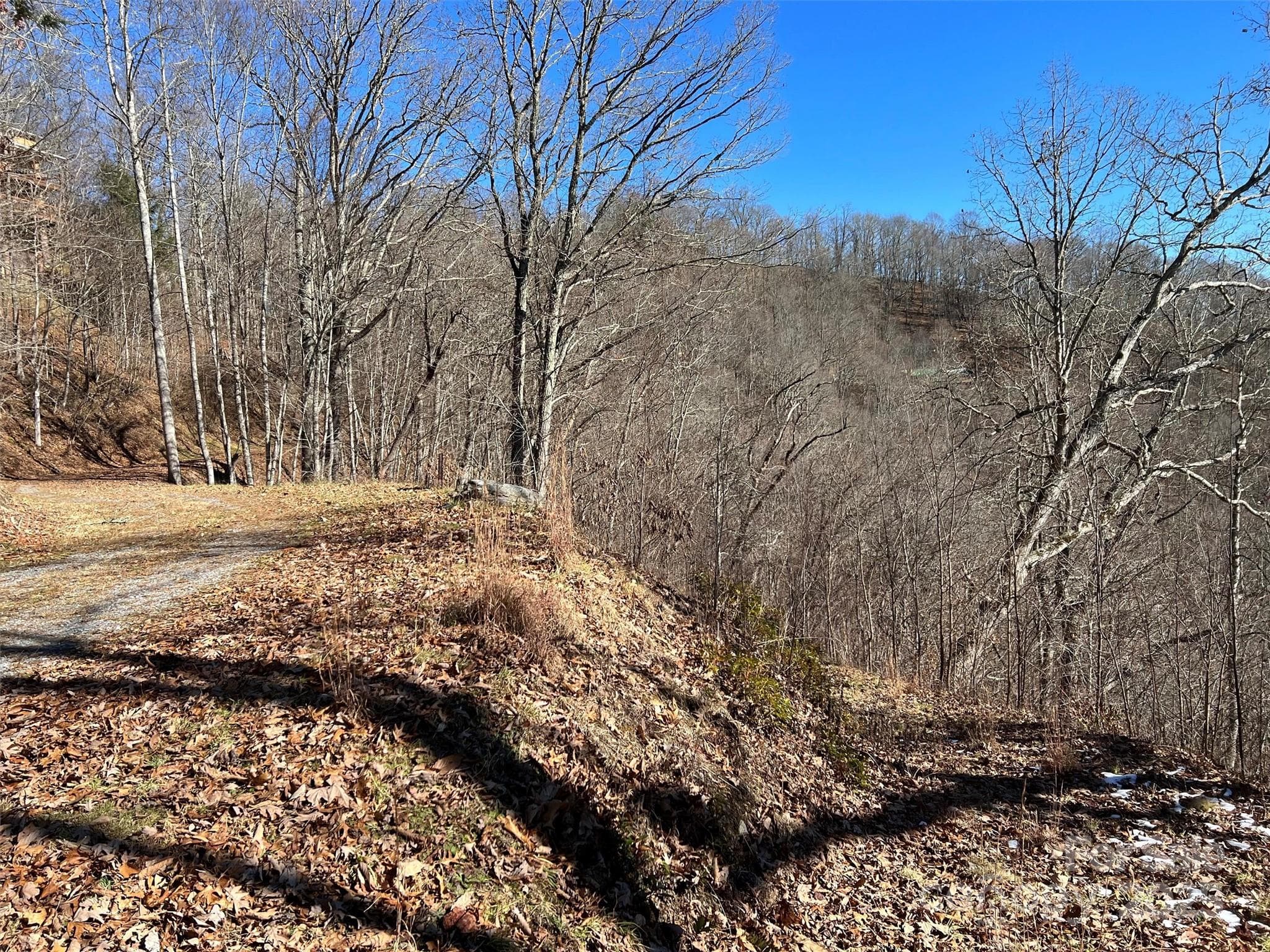 Lot at Clyde, photo 13 of 16