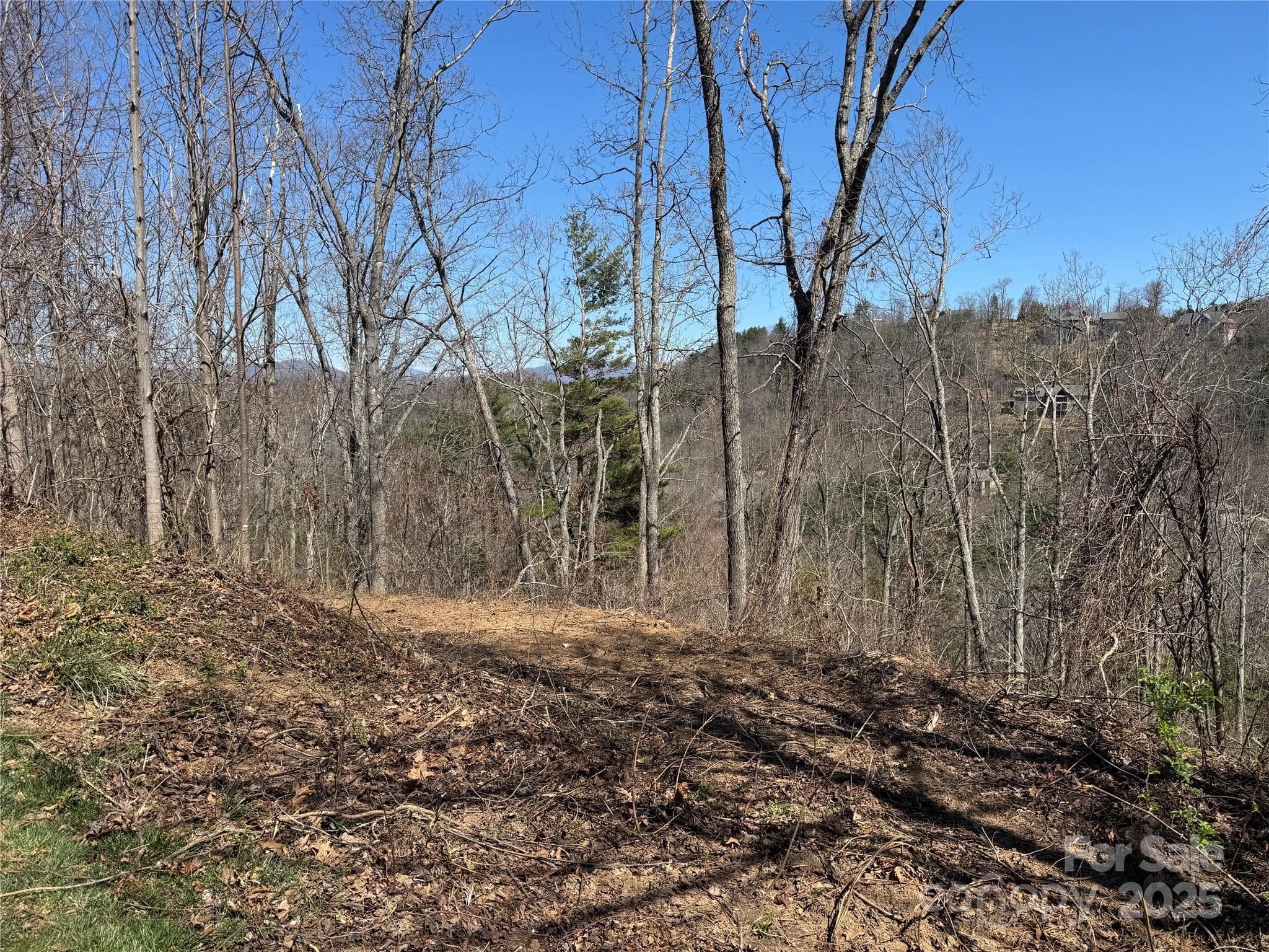 Road cut - Asheville