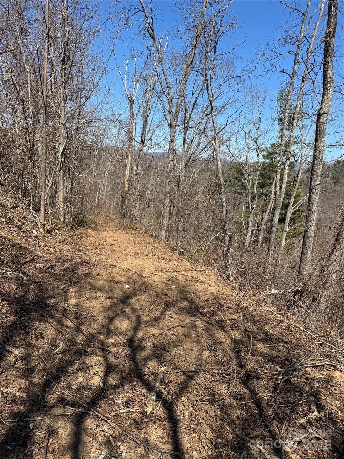Driveway cut - Asheville