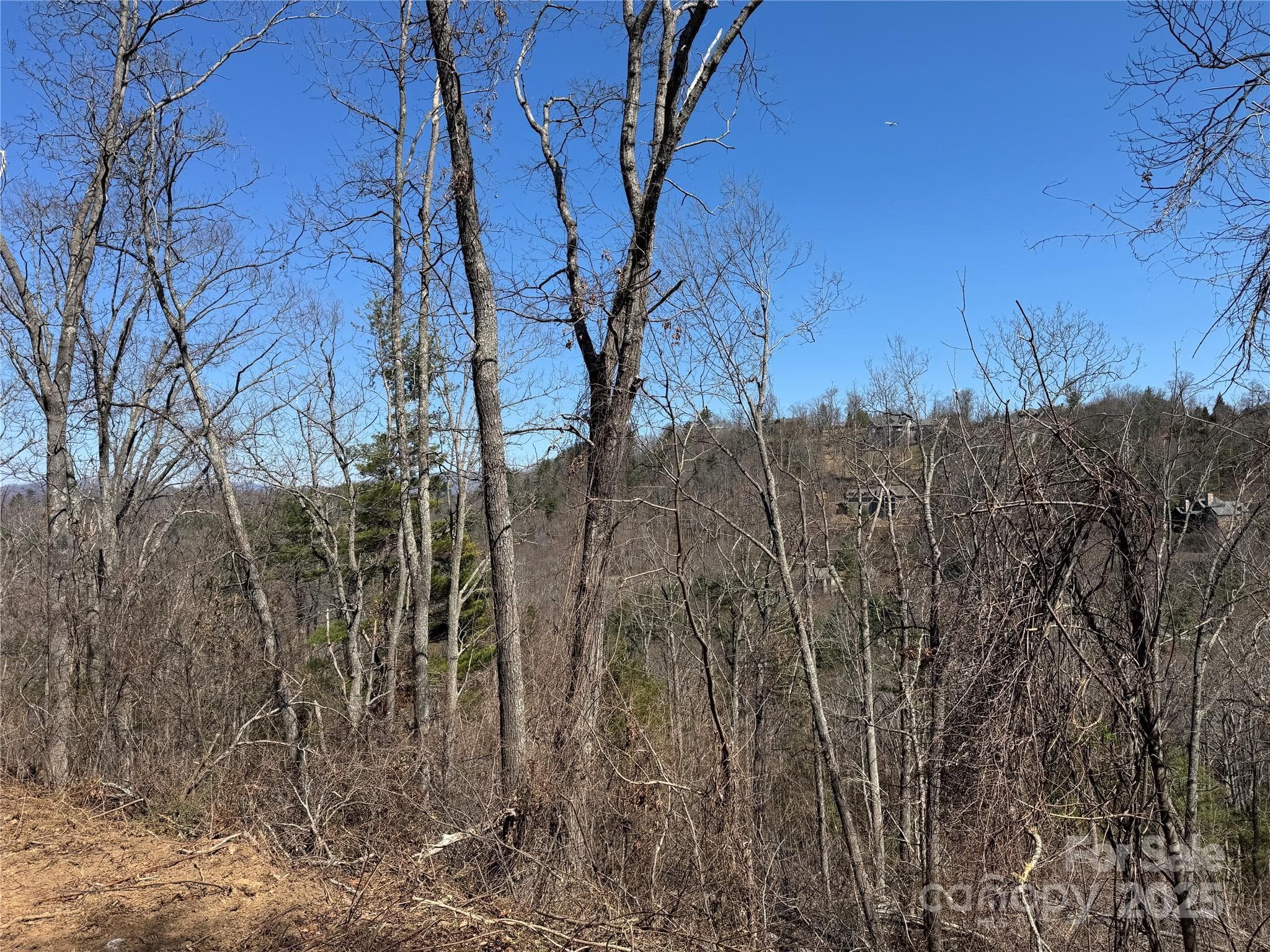 Views from road - Asheville