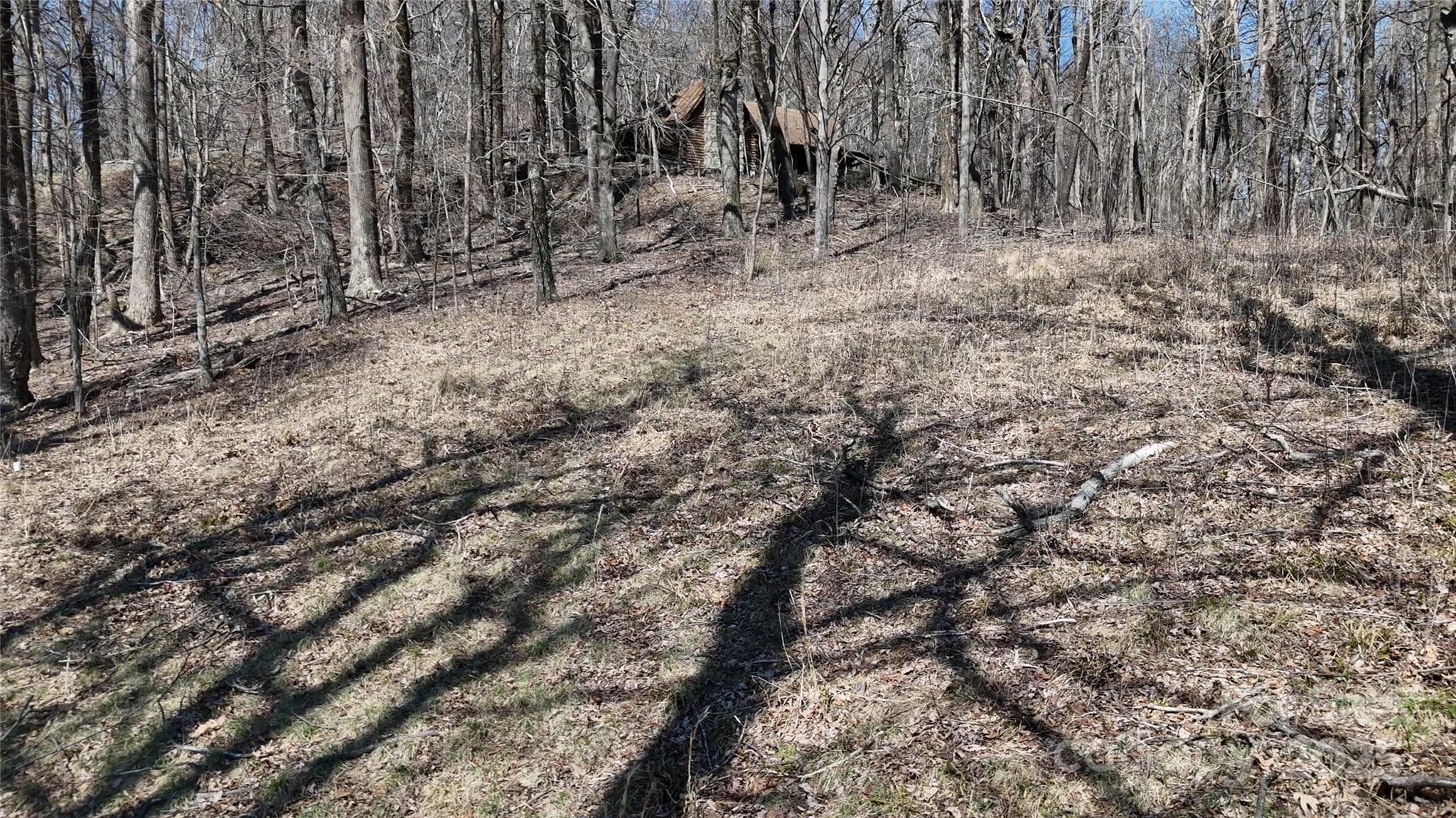 Lot at 1.1 Acre Blockaders Den Road, Columbus, photo 4 of 41