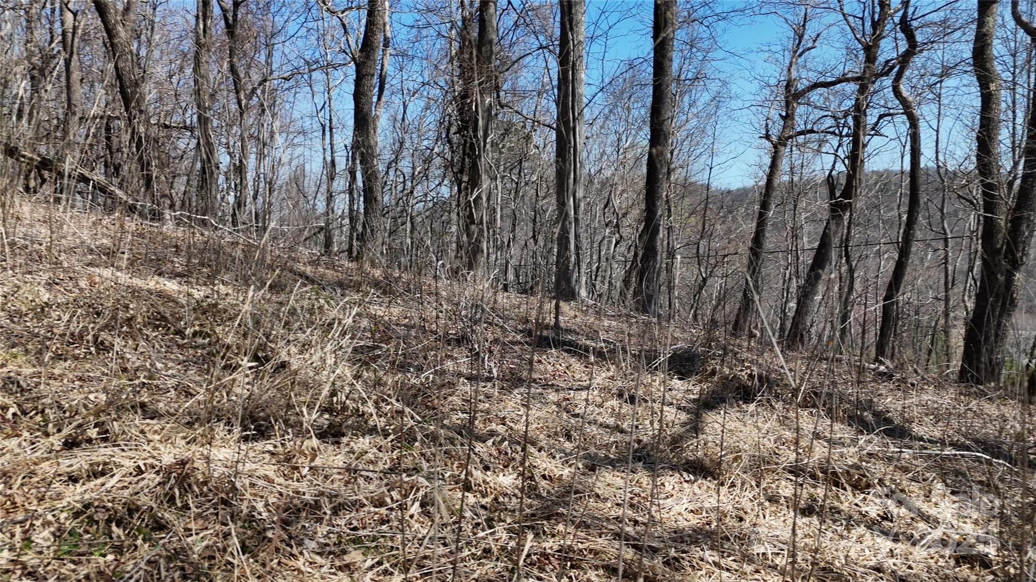 Lot at 1.1 Acre Blockaders Den Road, Columbus, photo 12 of 41