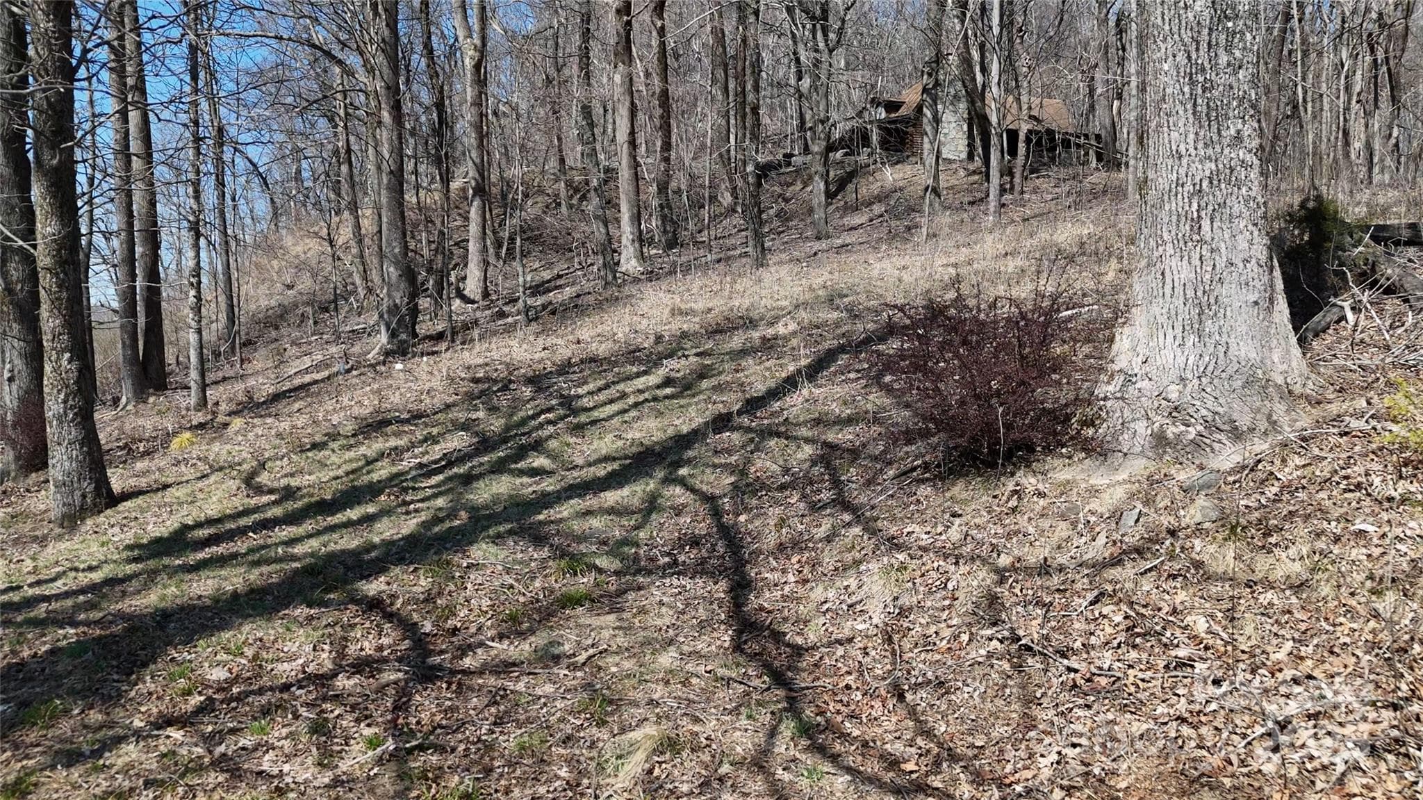 Lot at 1.1 Acre Blockaders Den Road, Columbus, photo 14 of 41