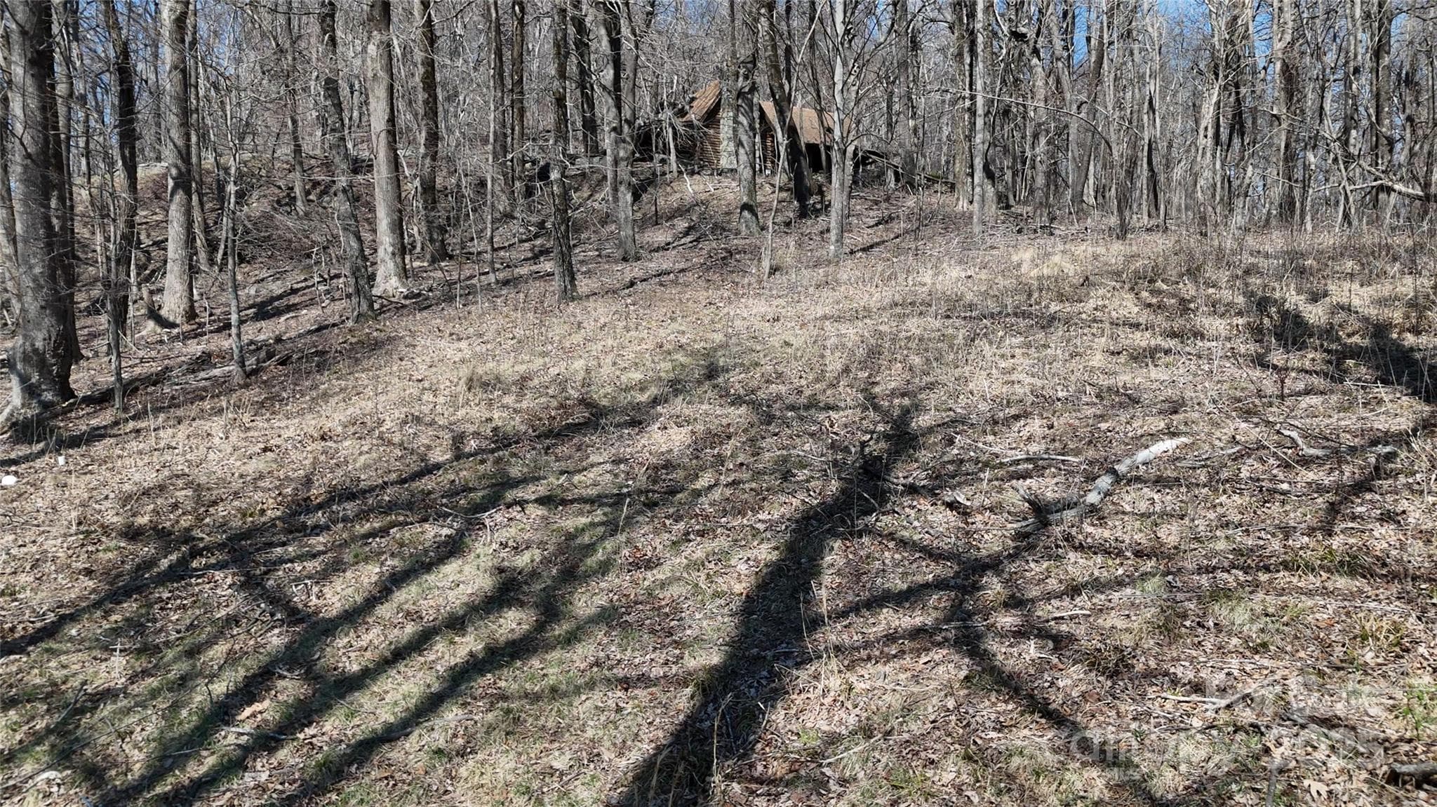 Lot at 1.1 Acre Blockaders Den Road, Columbus, photo 15 of 41