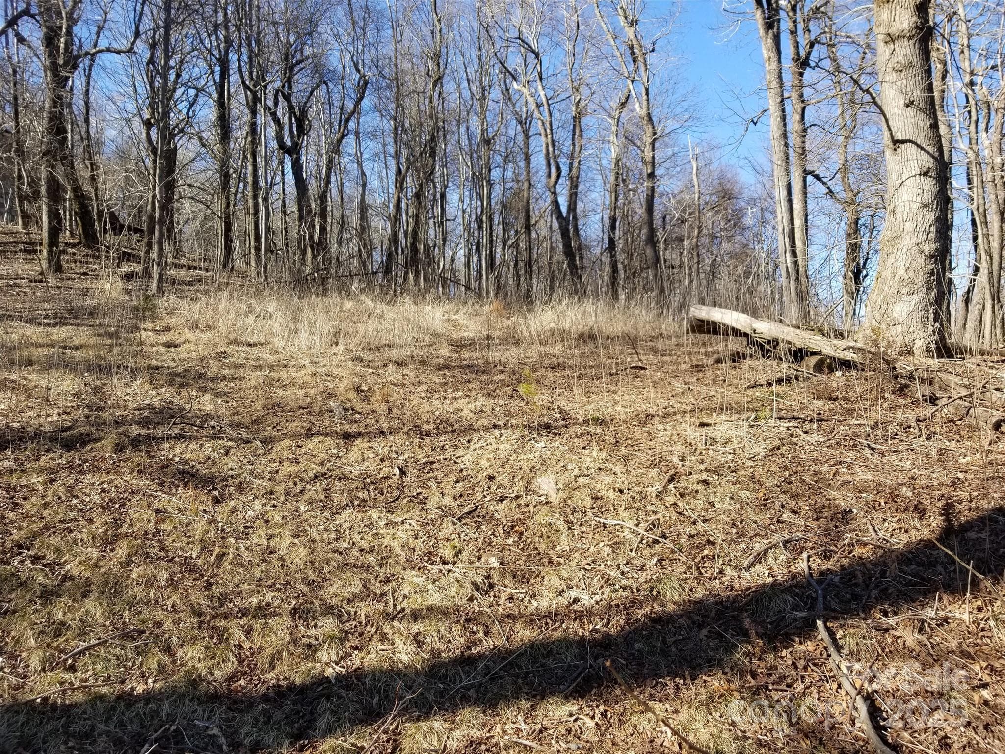 Lot at 1.1 Acre Blockaders Den Road, Columbus, photo 18 of 41