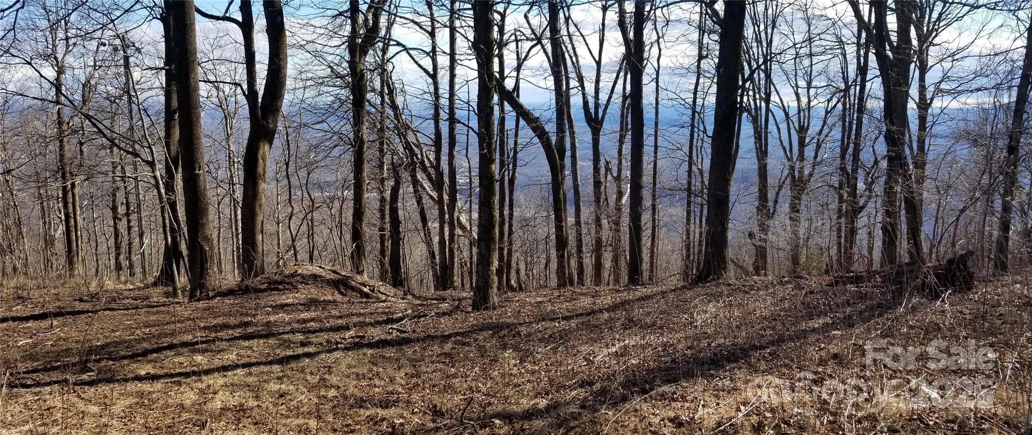Lot at 1.1 Acre Blockaders Den Road, Columbus, photo 22 of 41