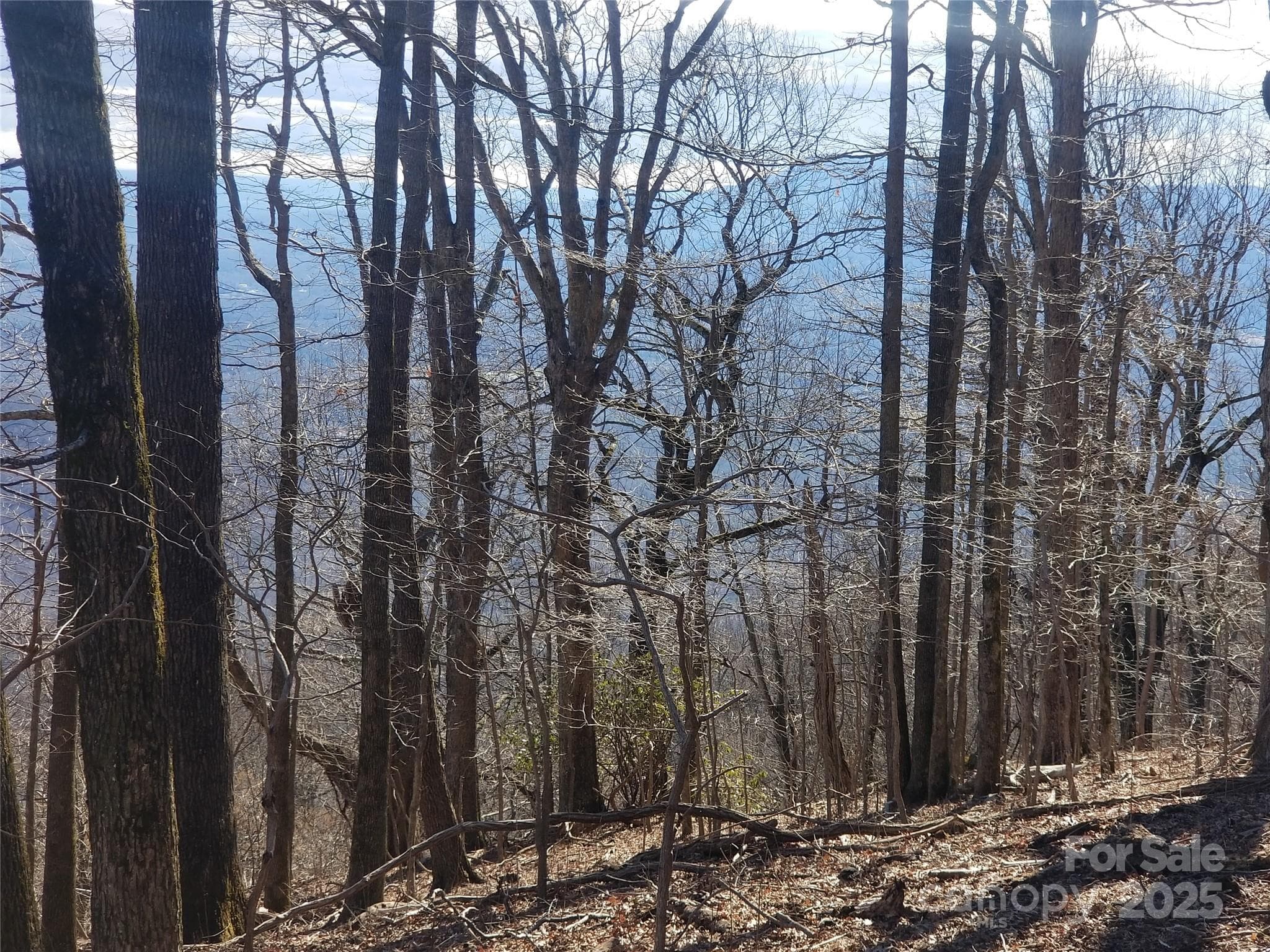 Lot at 1.1 Acre Blockaders Den Road, Columbus, photo 25 of 41