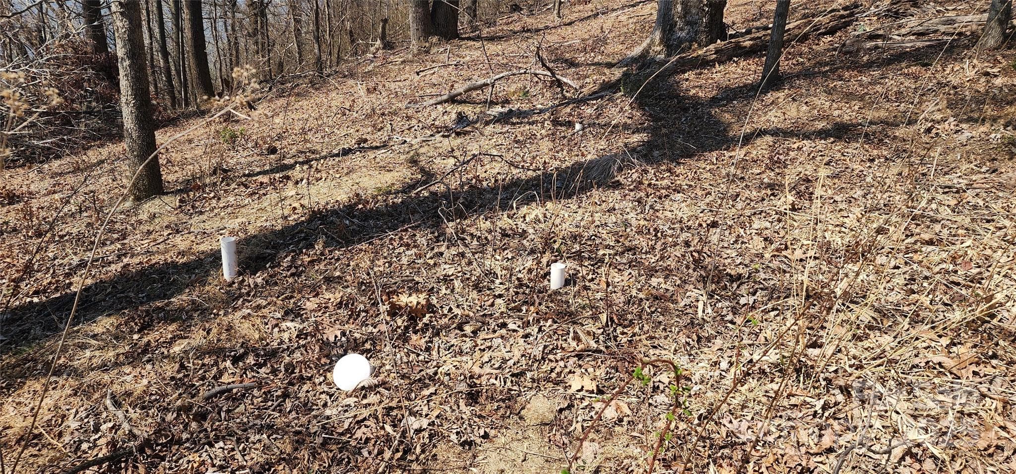 Lot at 1.1 Acre Blockaders Den Road, Columbus, photo 39 of 41