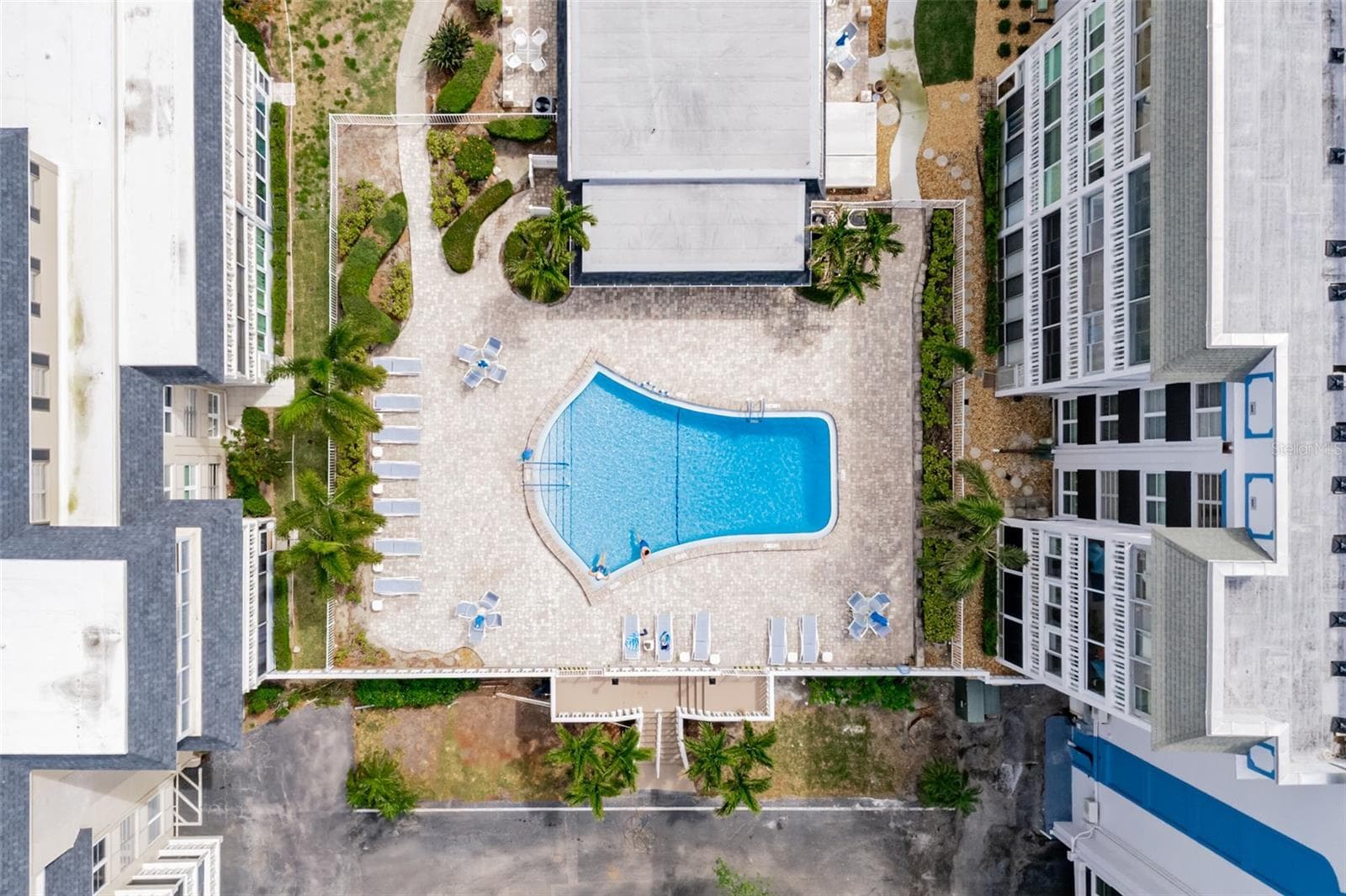 Pool area - 147 BLUFF VIEW DR #206, BELLEAIR BLUFFS