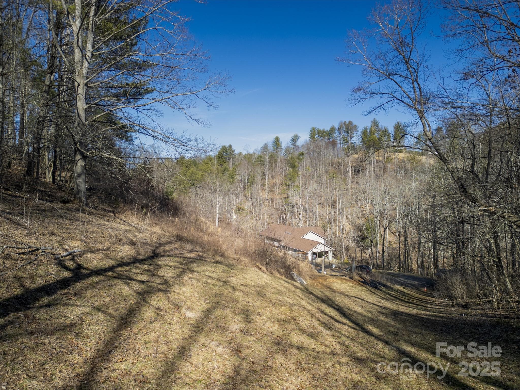 View from treeline before homesite - Burnsville