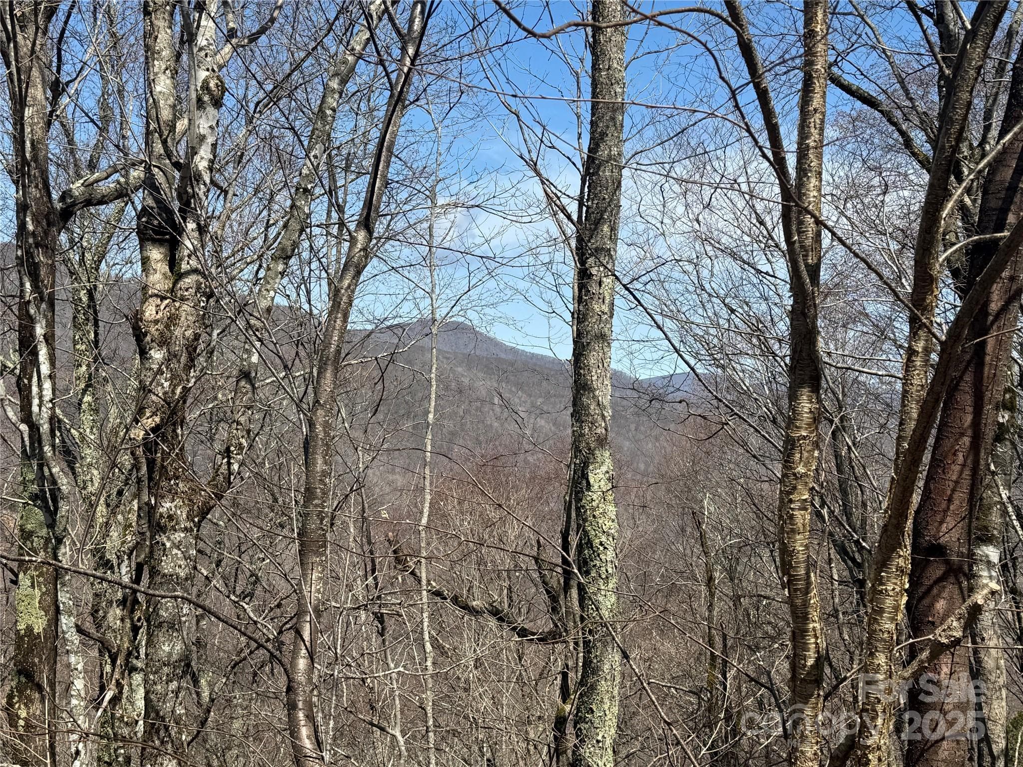 Big Bald View Potential - 53 & 55 Running Cedar Drive, Mars Hill