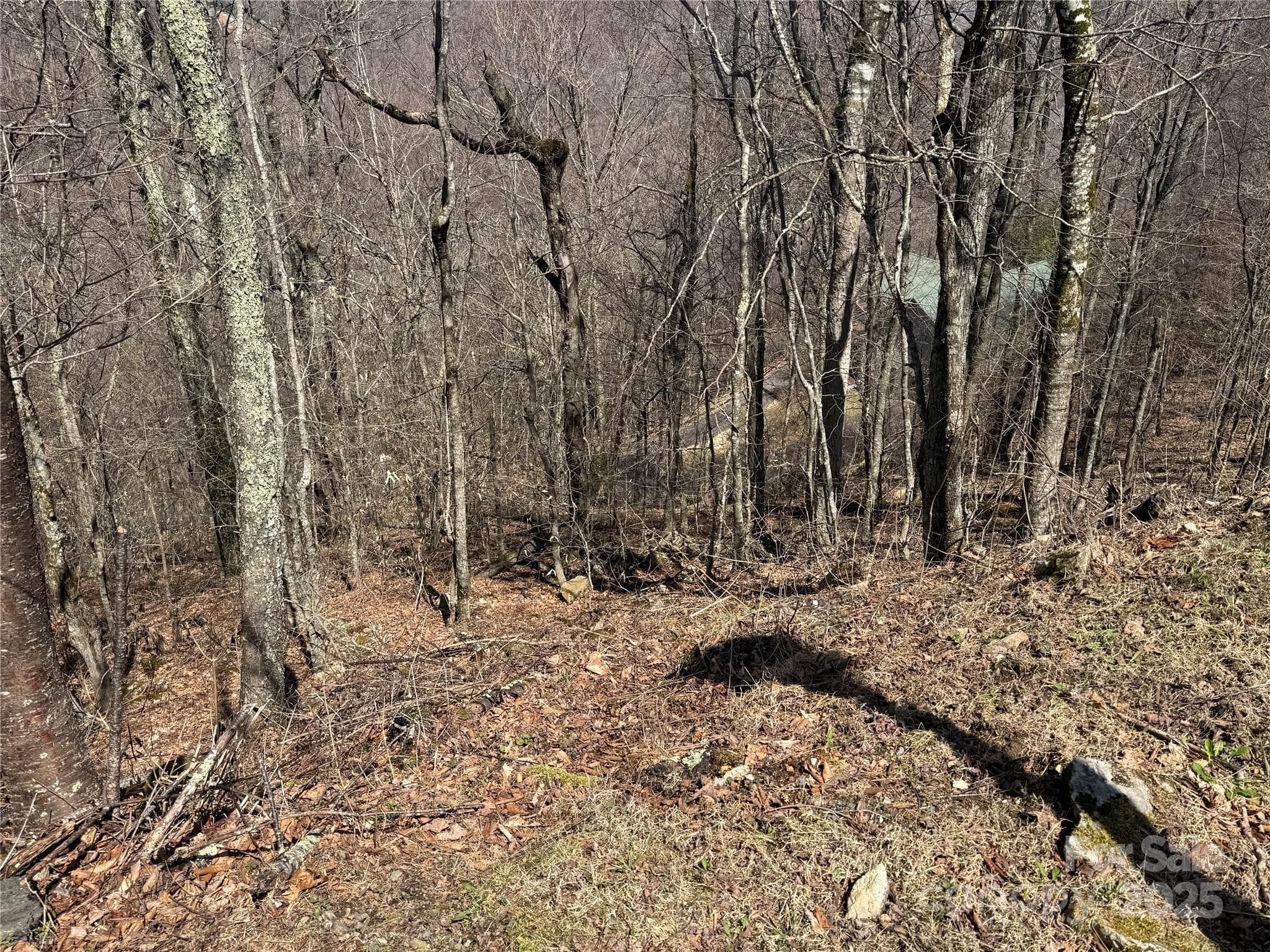 Big Bald View Potential - 53 & 55 Running Cedar Drive, Mars Hill