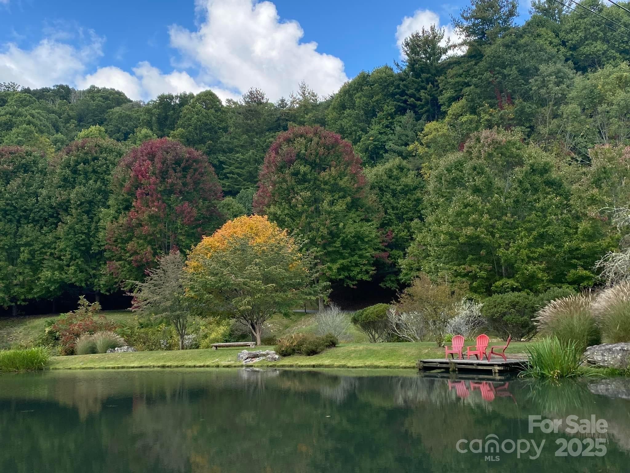 WL VC Fishing Pond - 53 & 55 Running Cedar Drive, Mars Hill
