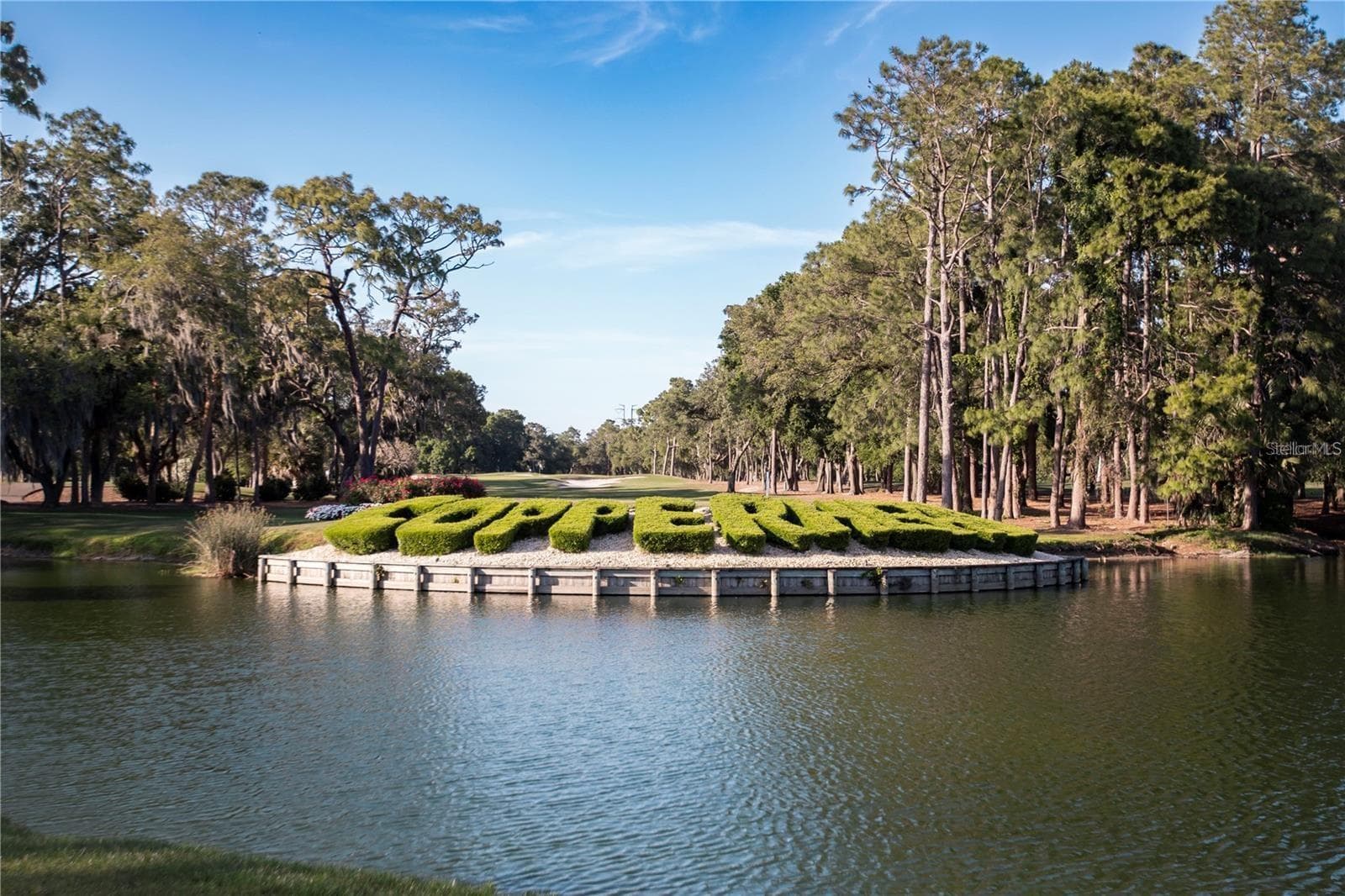 Condominium at 36750 US 19 N #2763, PALM HARBOR, photo 36 of 82