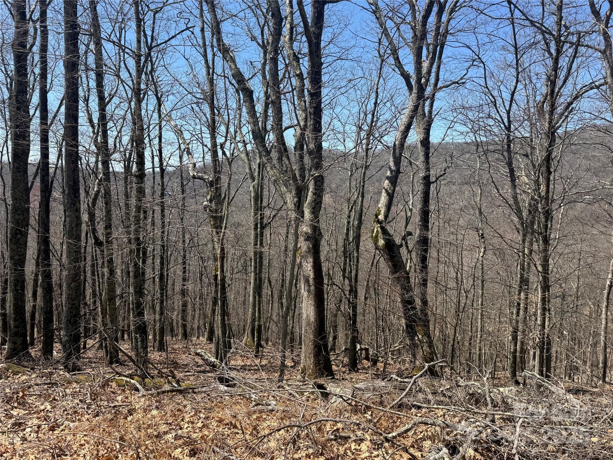 Nice Building Lots, Private Location - Mars Hill