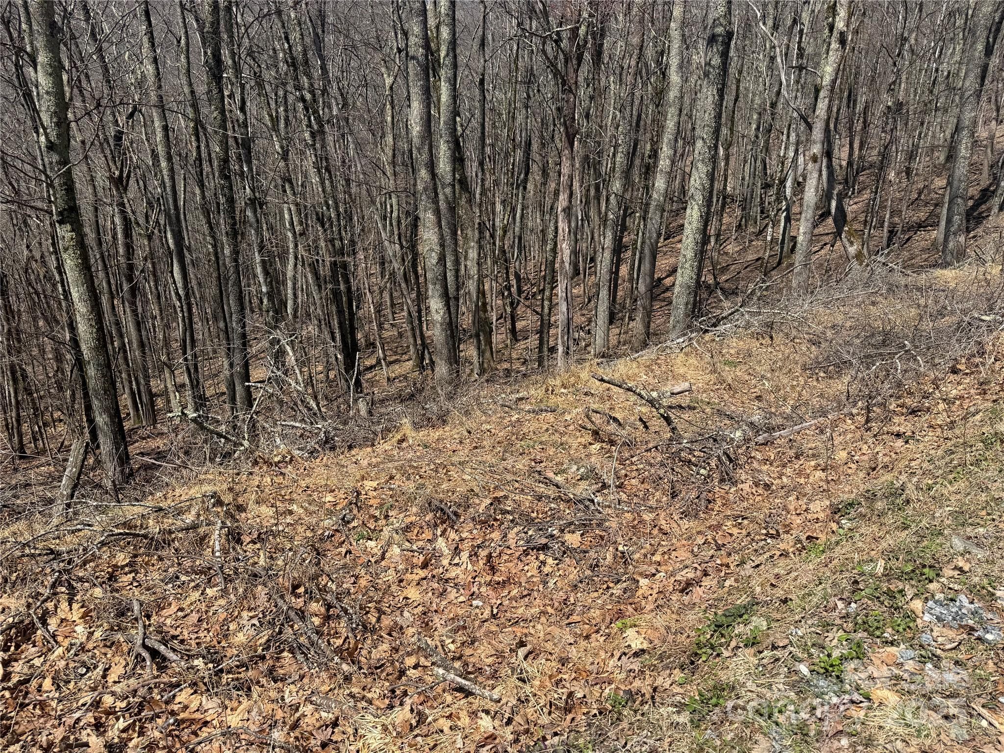 Nice Building Lots, Private Location - Mars Hill