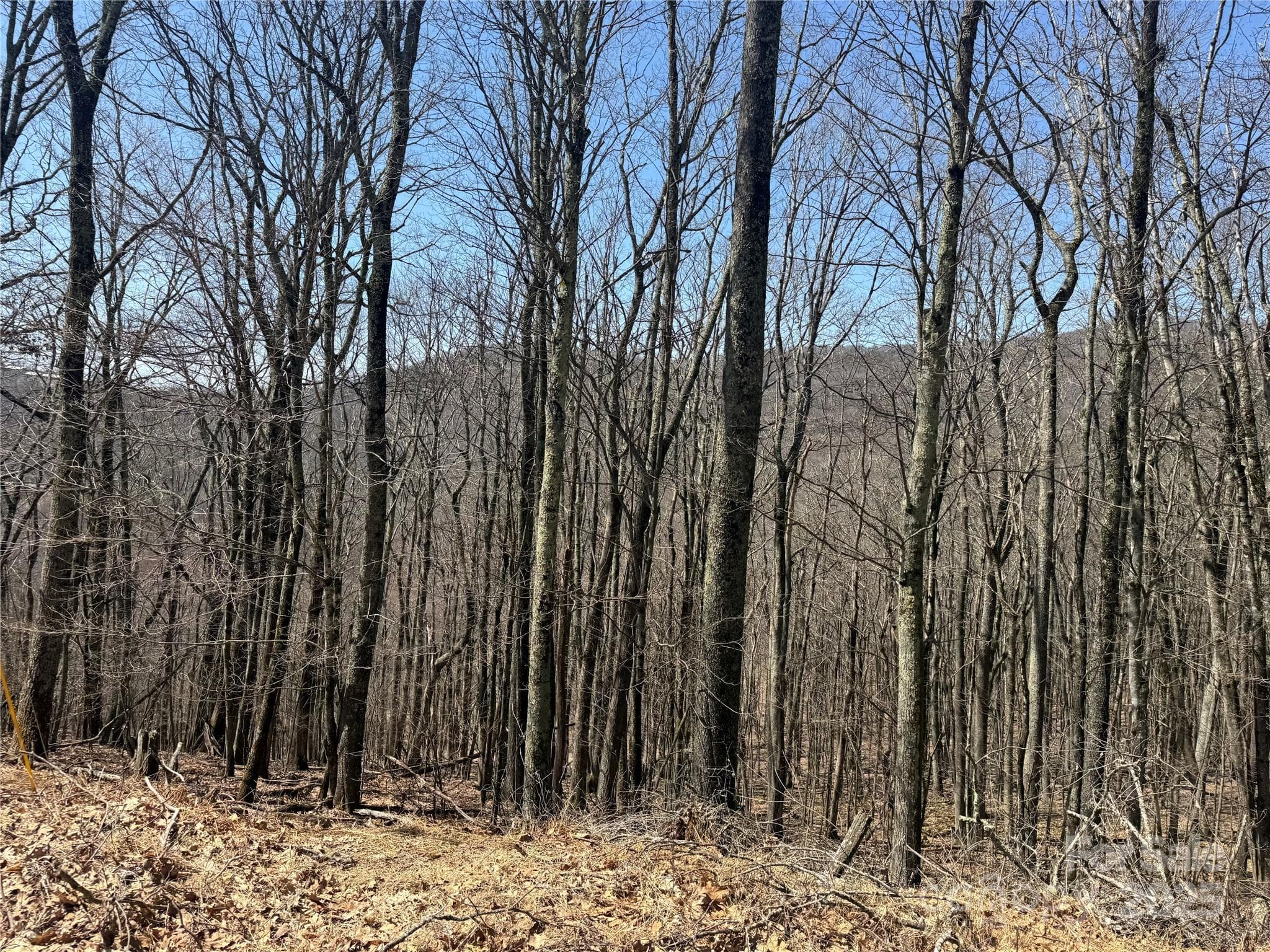 Nice Building Lots, Private Location - Mars Hill