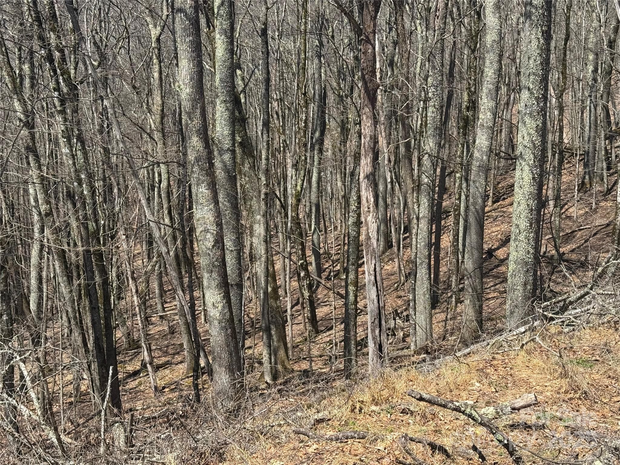 Nice Building Lots, Private Location - Mars Hill