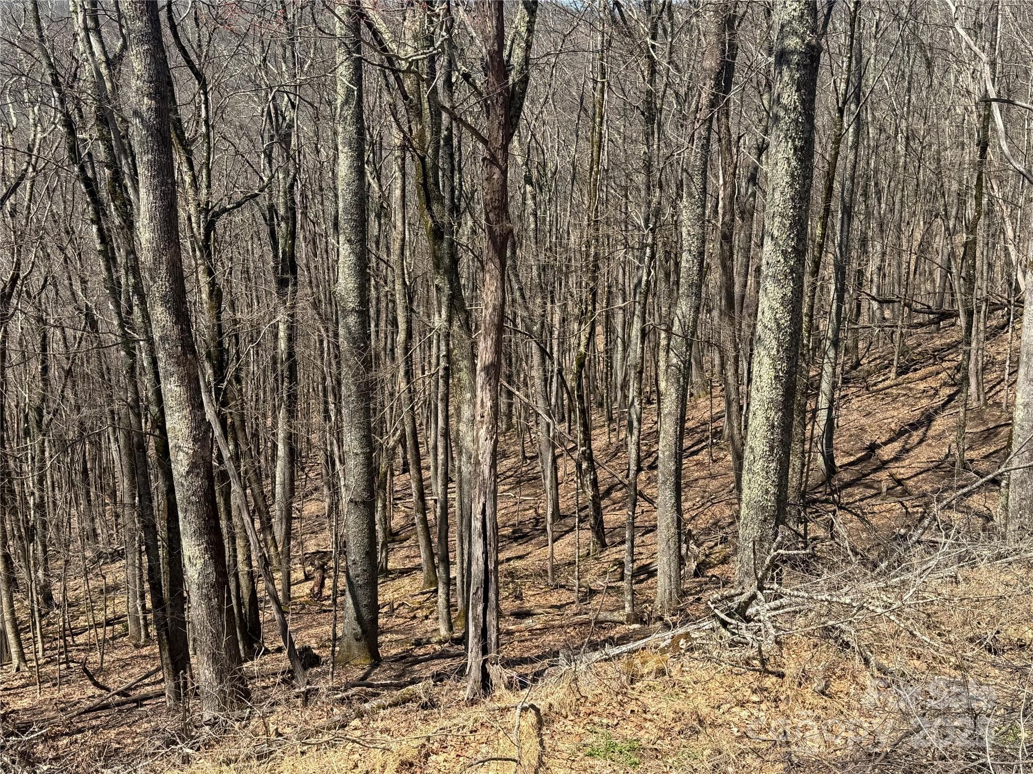 Nice Building Lots, Private Location - Mars Hill