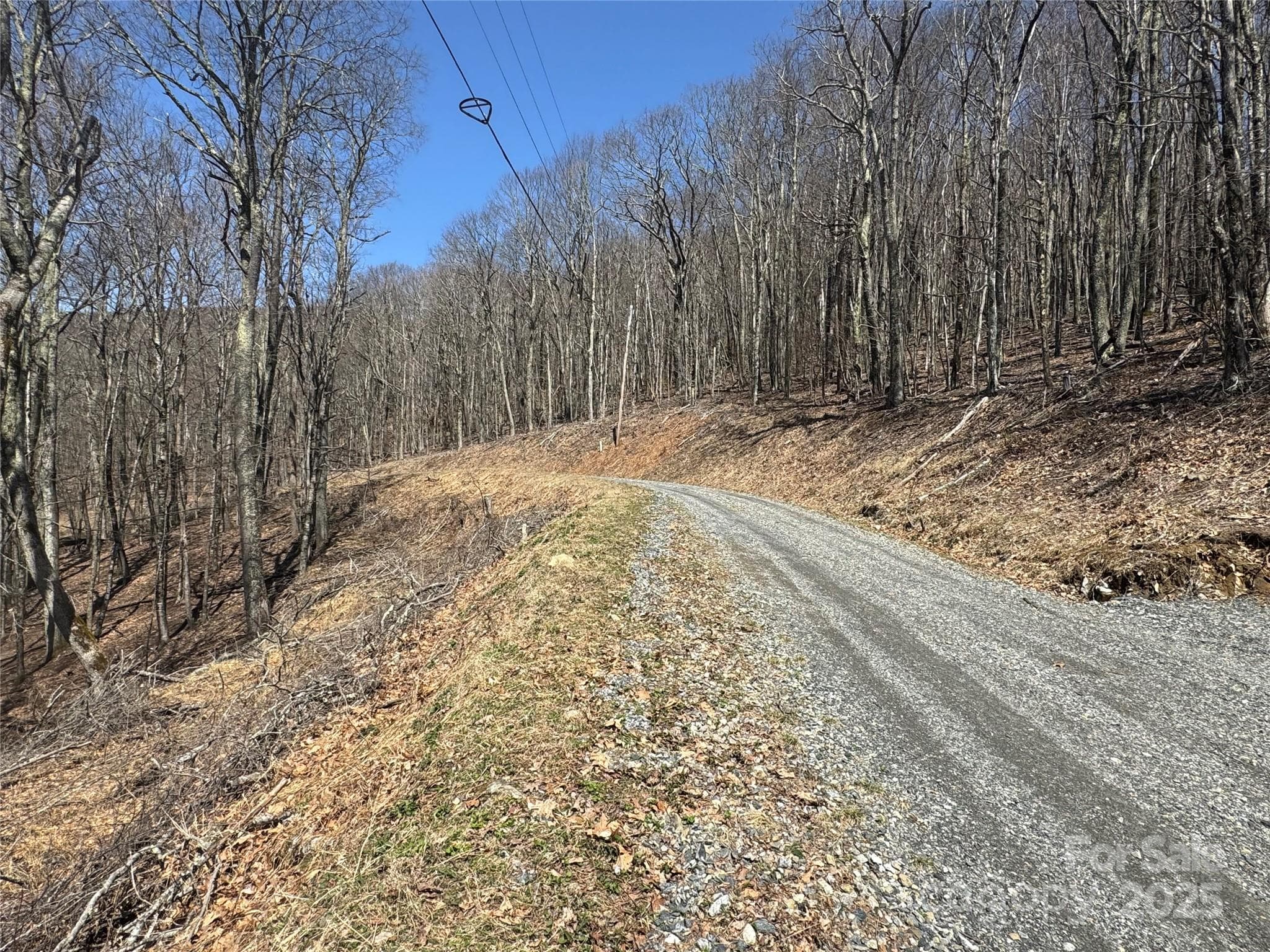 Road in Front of Lots - Mars Hill
