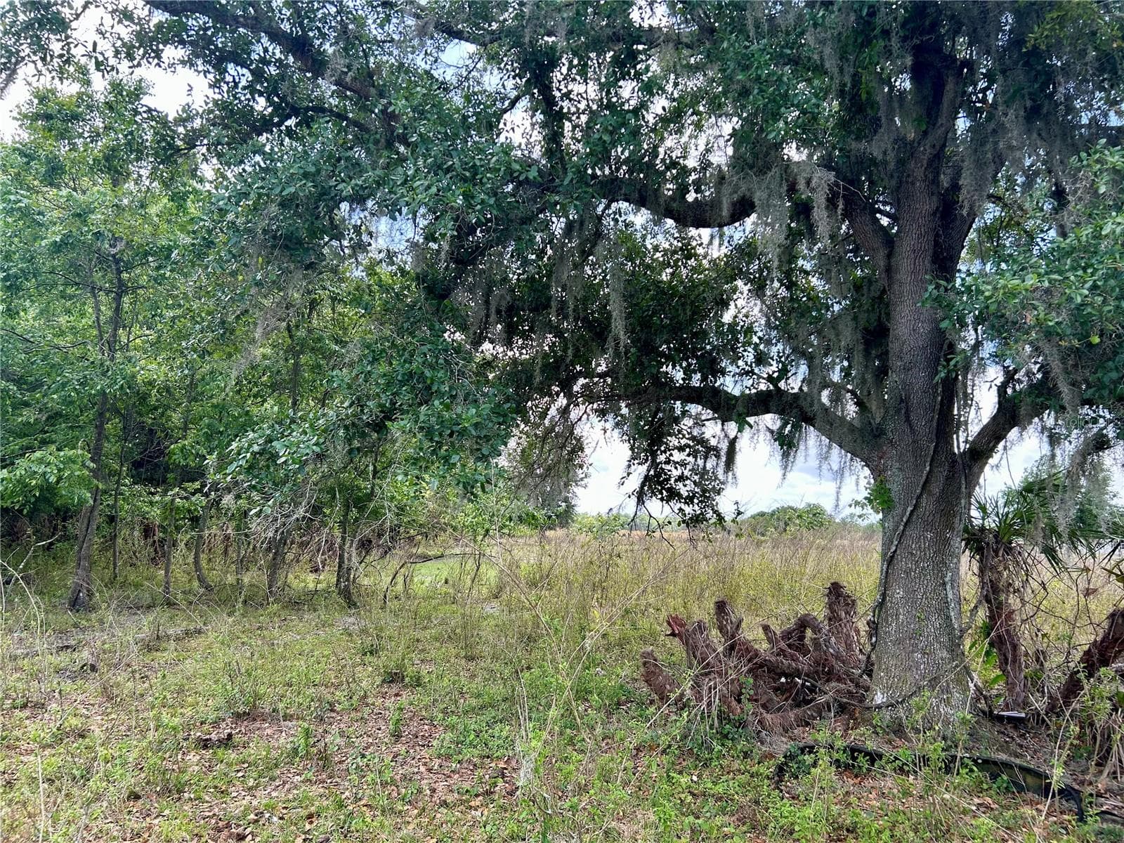 Land at SR-64, ZOLFO SPRINGS, photo 9 of 14