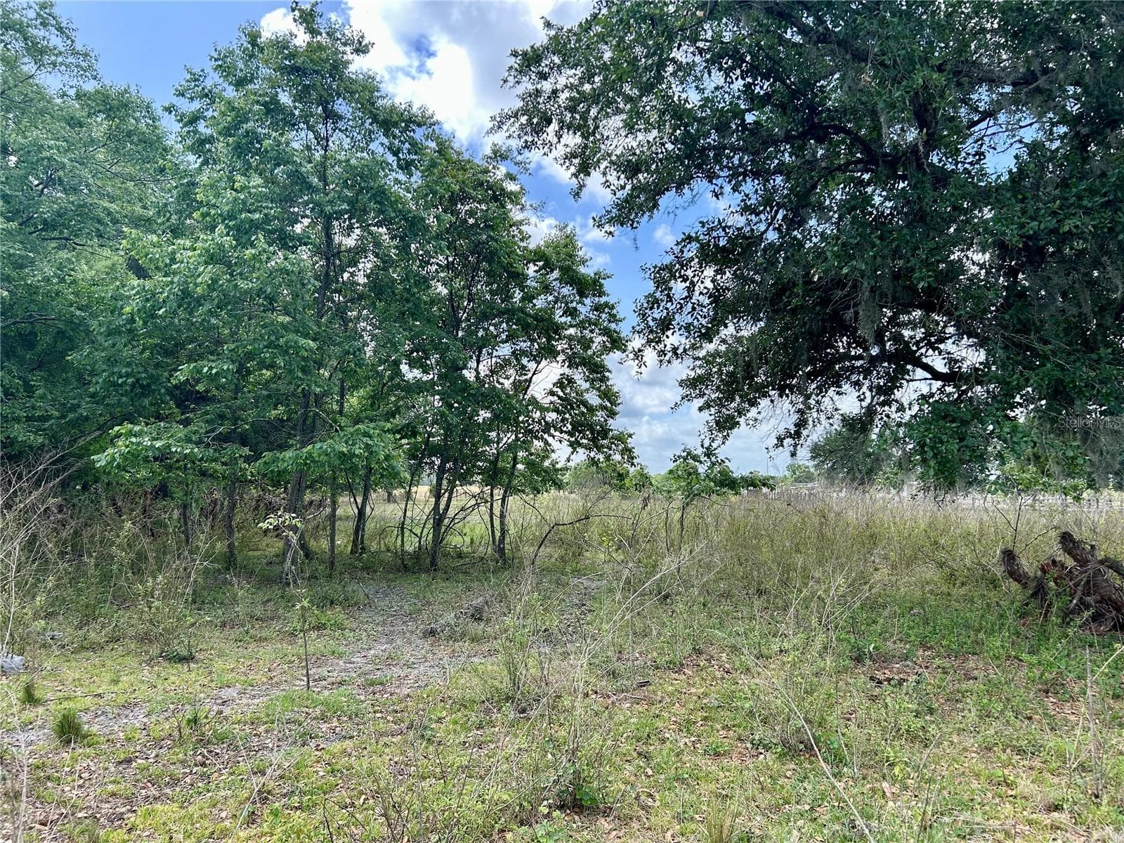 Land at SR-64, ZOLFO SPRINGS, photo 10 of 14