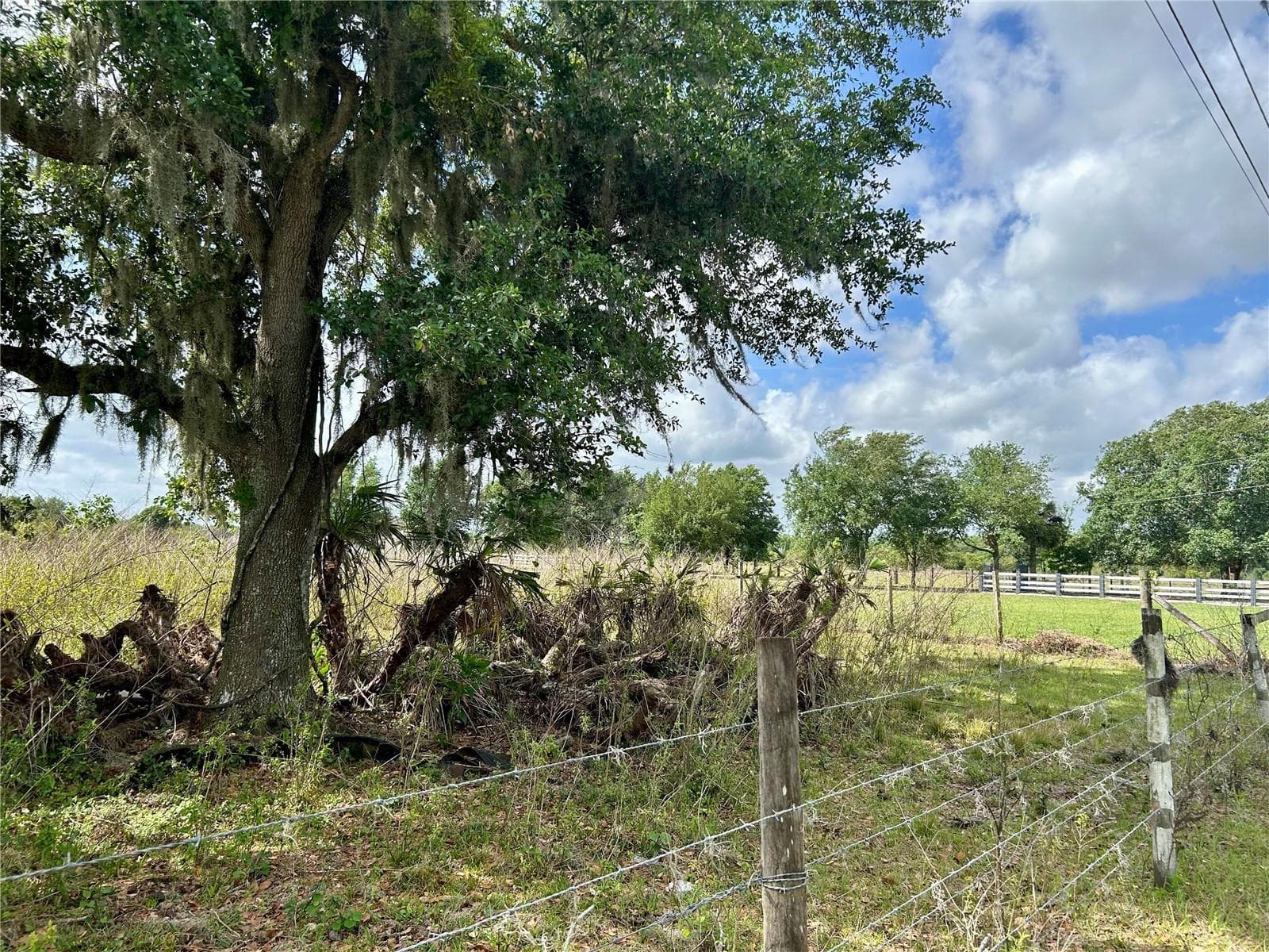 Land at SR-64, ZOLFO SPRINGS, photo 13 of 14