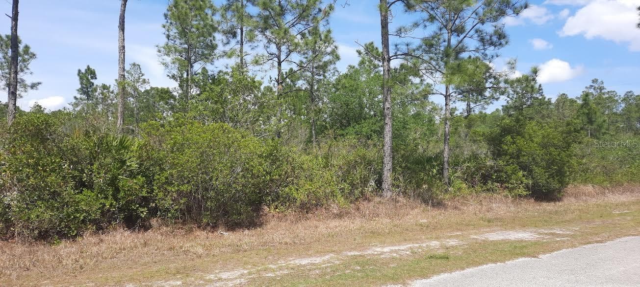 404 ALLAMANDA DR
