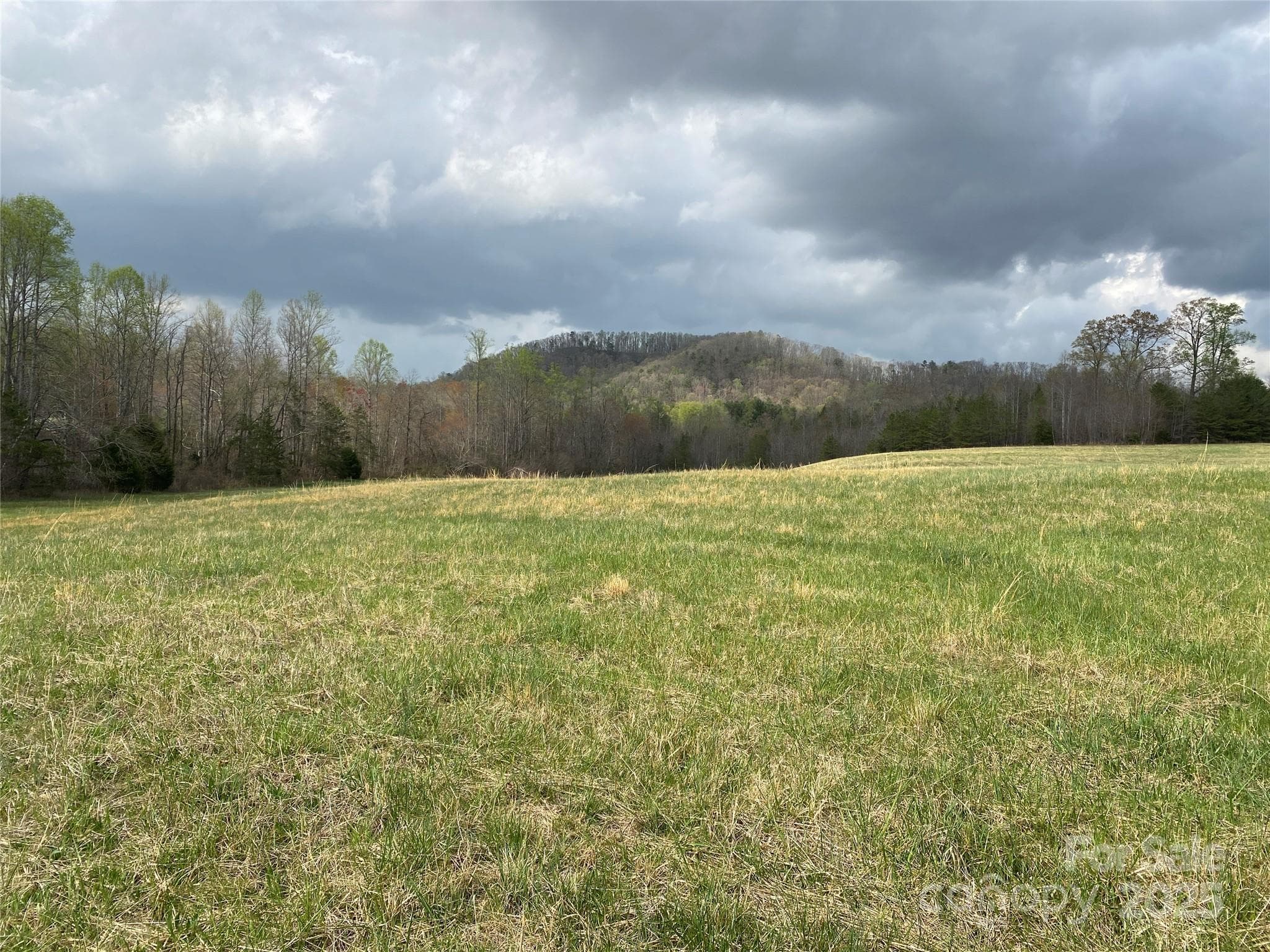 Acreage at 0 Cane Creek Mountain Road, Bostic, photo 13 of 28