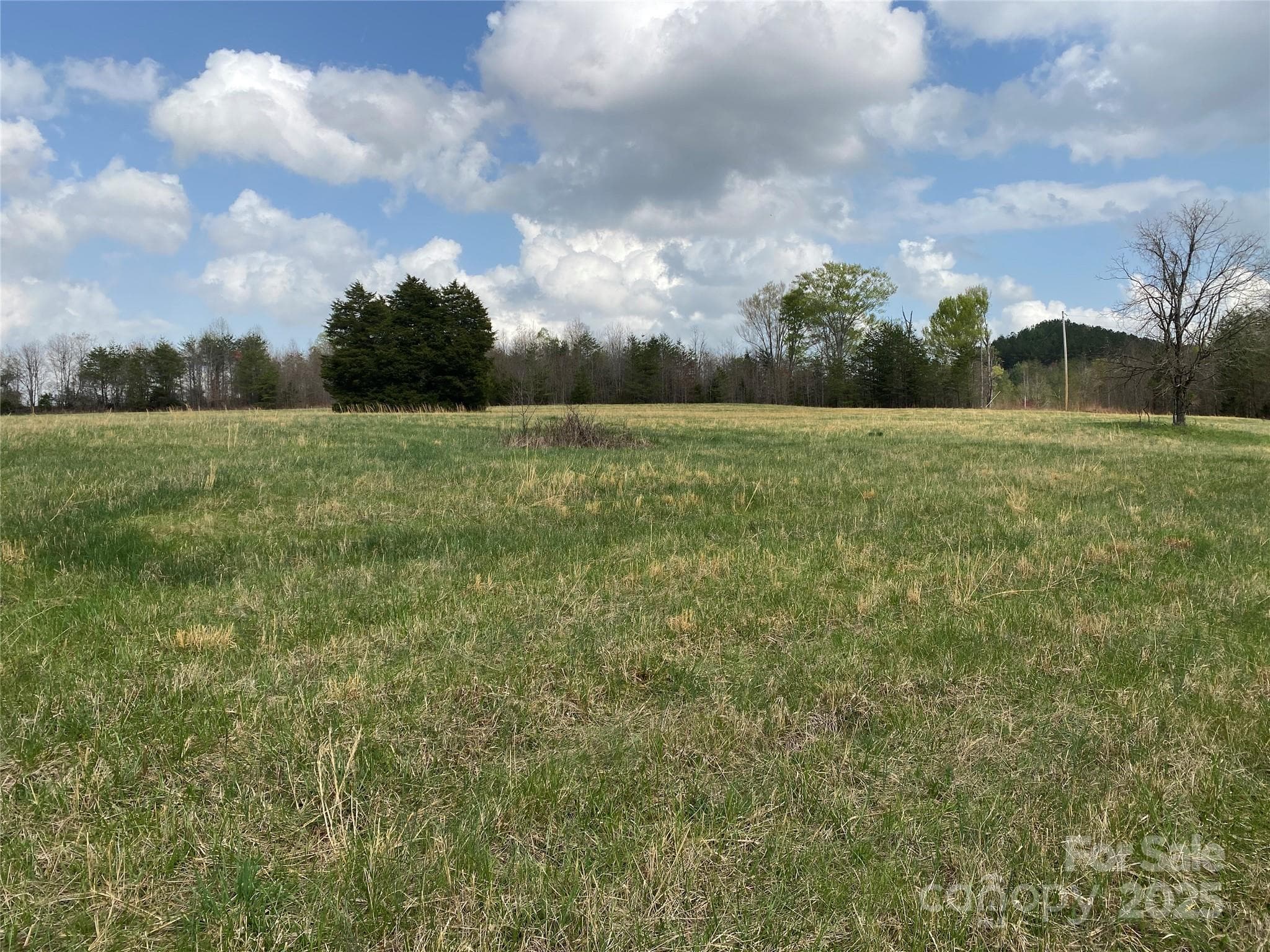 Acreage at 0 Cane Creek Mountain Road, Bostic, photo 15 of 28