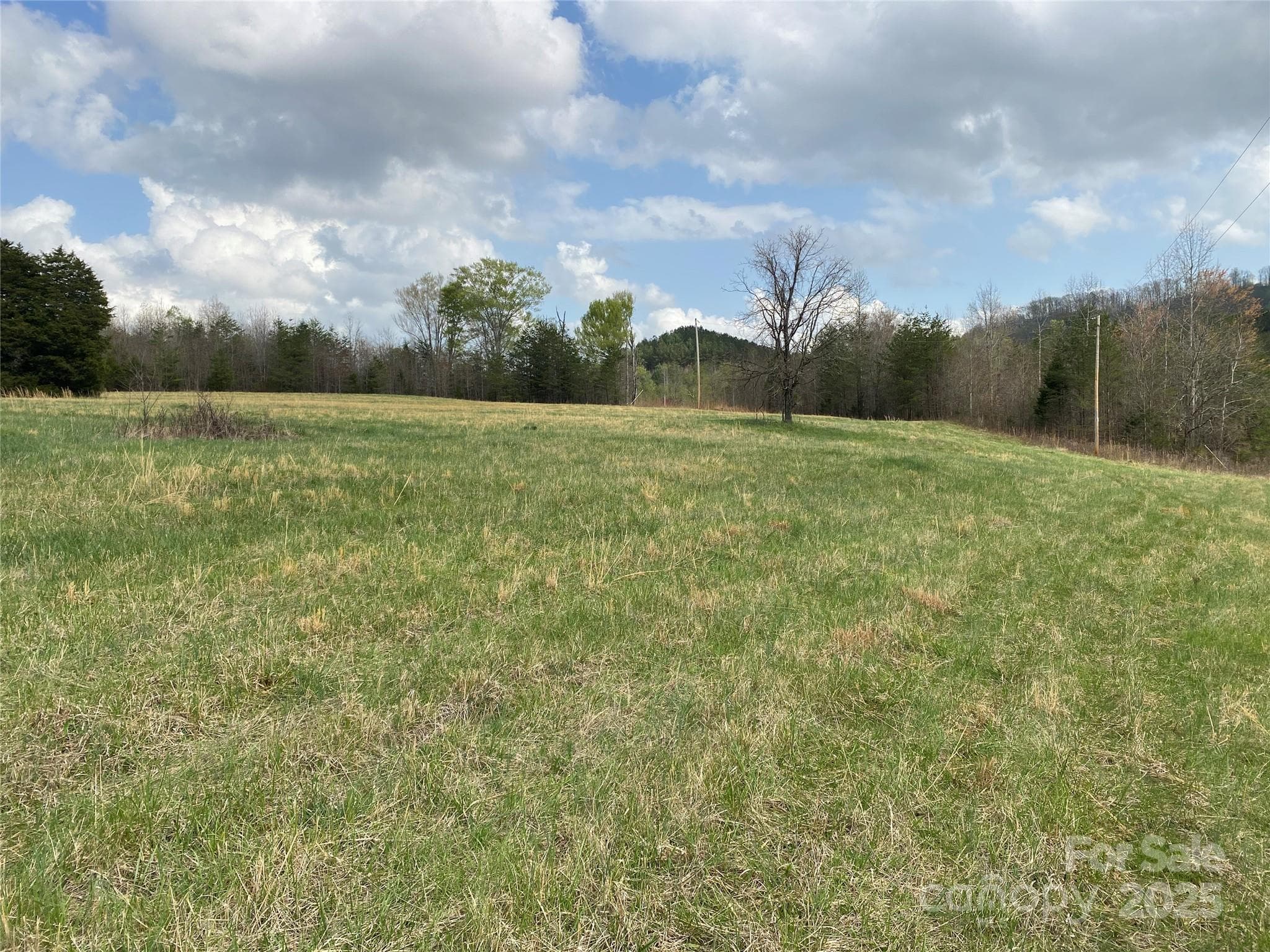 Acreage at 0 Cane Creek Mountain Road, Bostic, photo 16 of 28