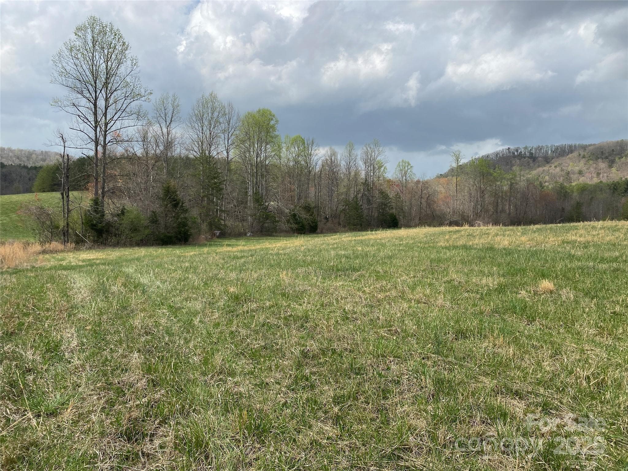 Acreage at 0 Cane Creek Mountain Road, Bostic, photo 18 of 28