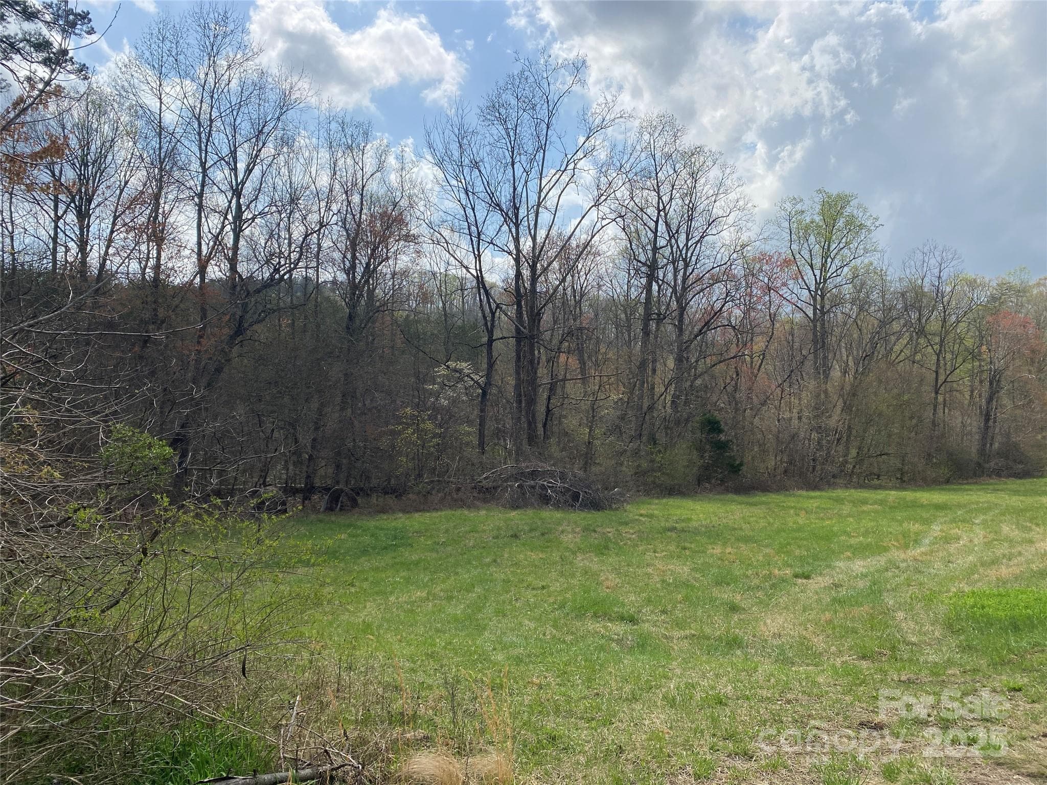 Acreage at 0 Cane Creek Mountain Road, Bostic, photo 21 of 28