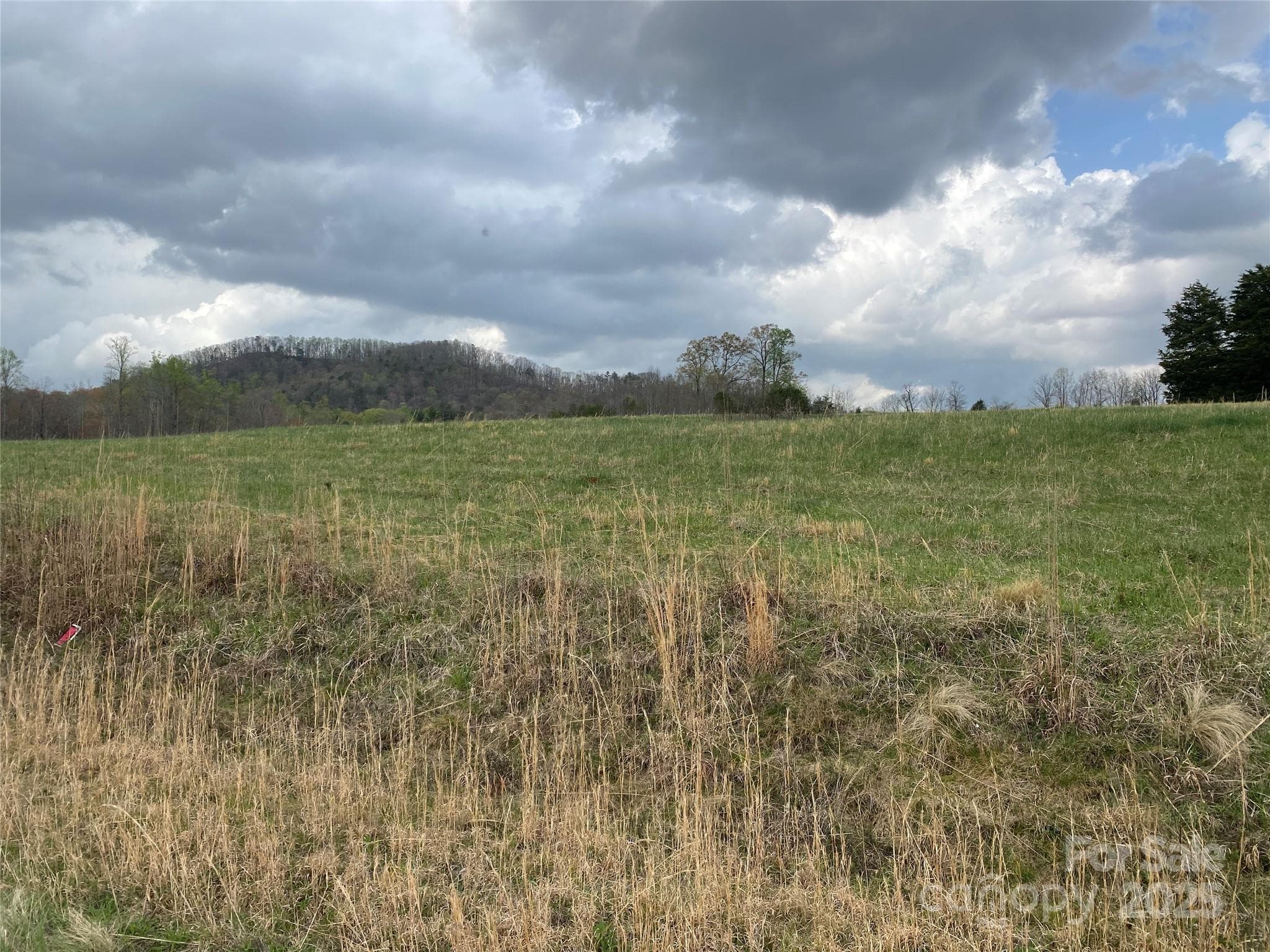 Acreage at 0 Cane Creek Mountain Road, Bostic, photo 4 of 28