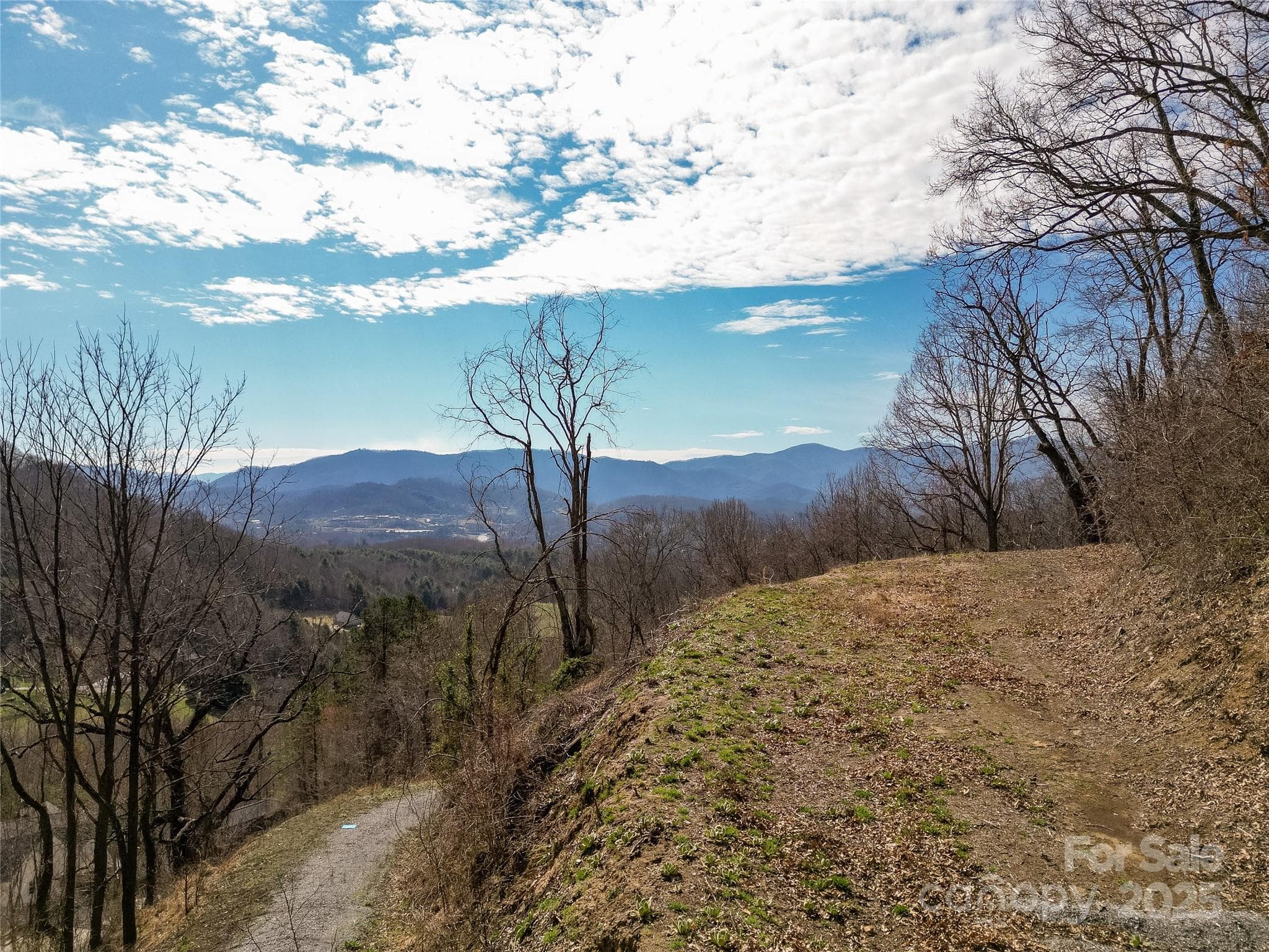 Lot at Waynesville, photo 4 of 22