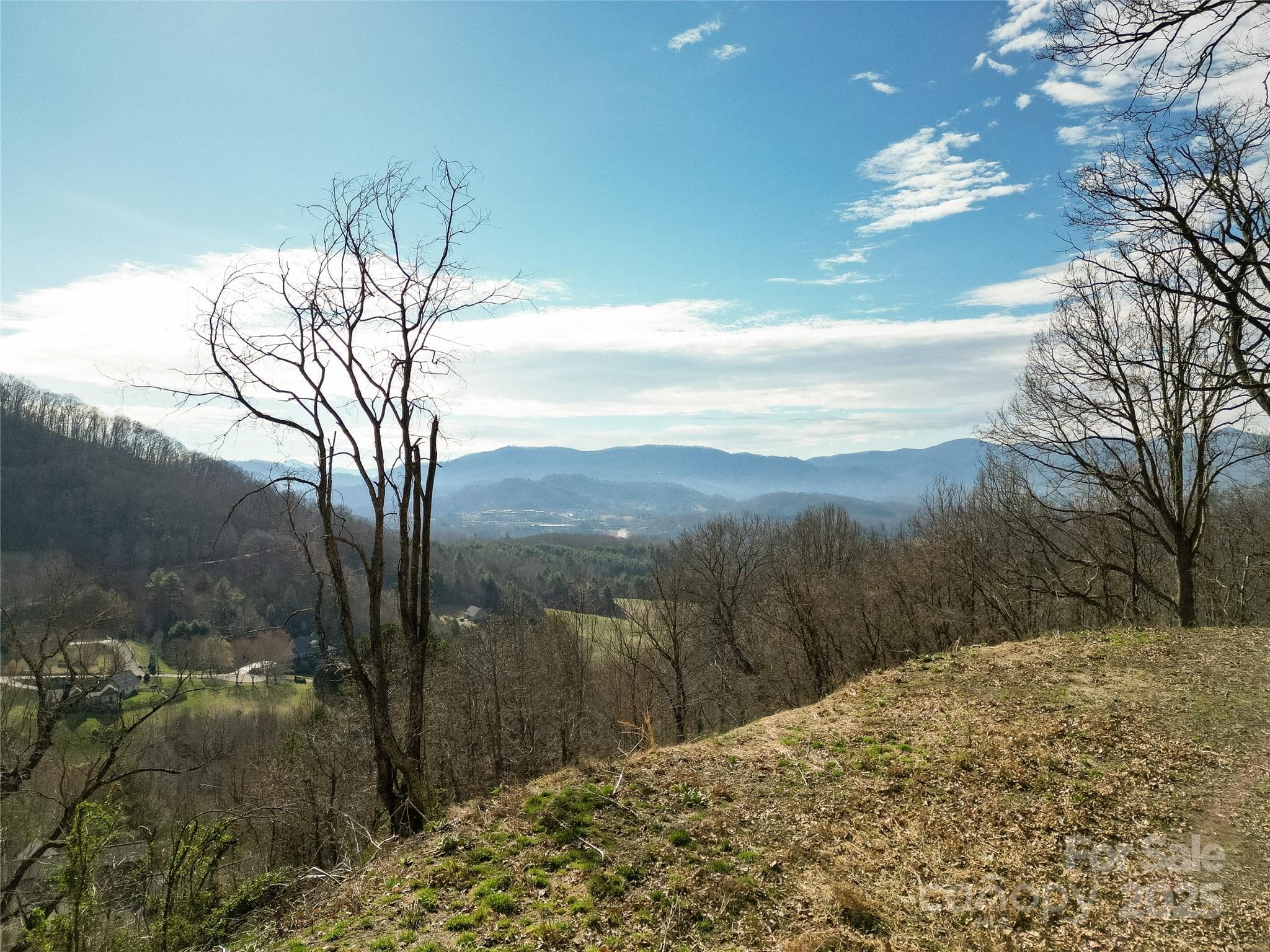 View from corner of proposed build site - Waynesville
